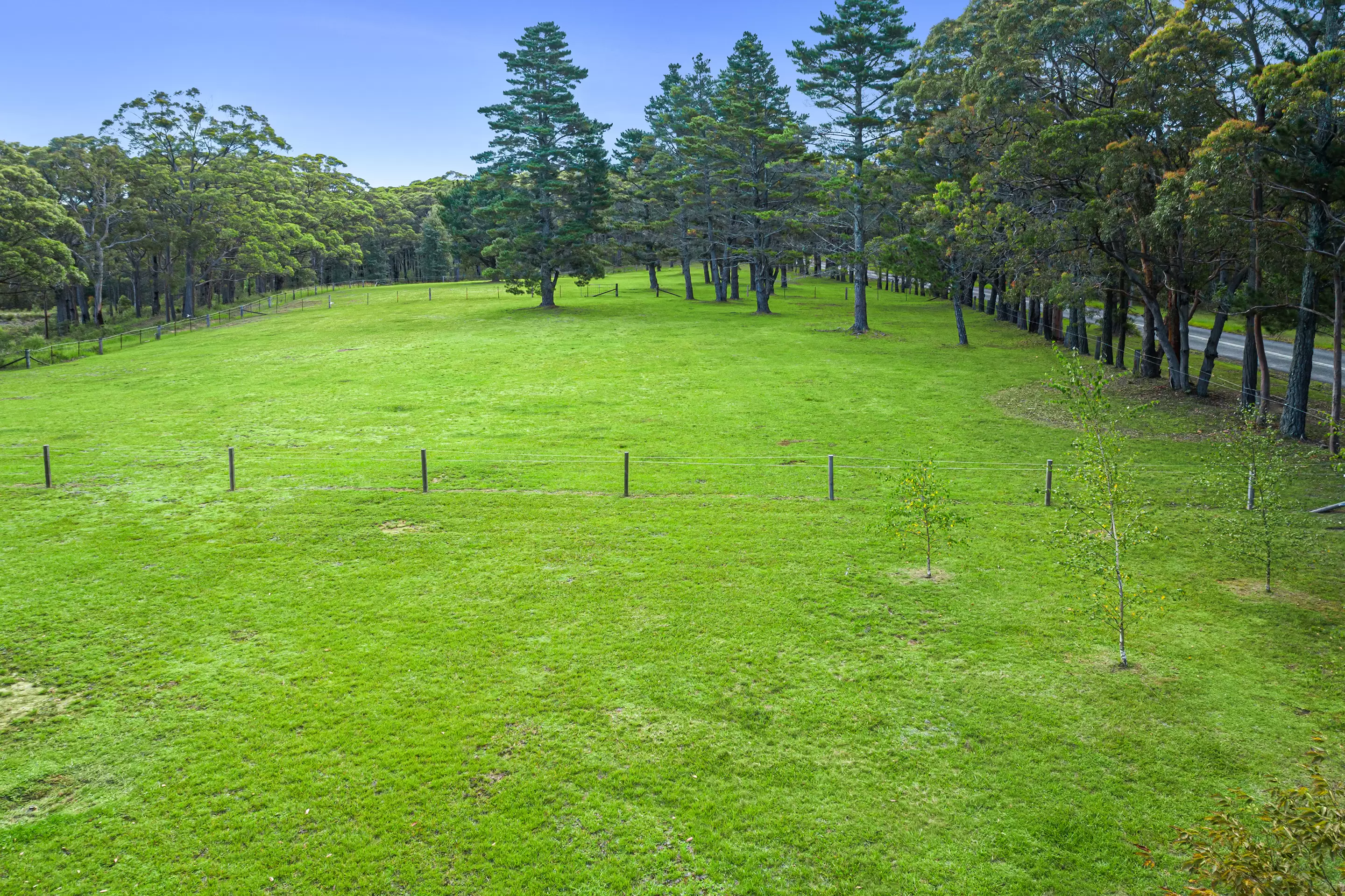 554 Mountain Lagoon Road, Bilpin Sold by Cutcliffe Properties - image 26