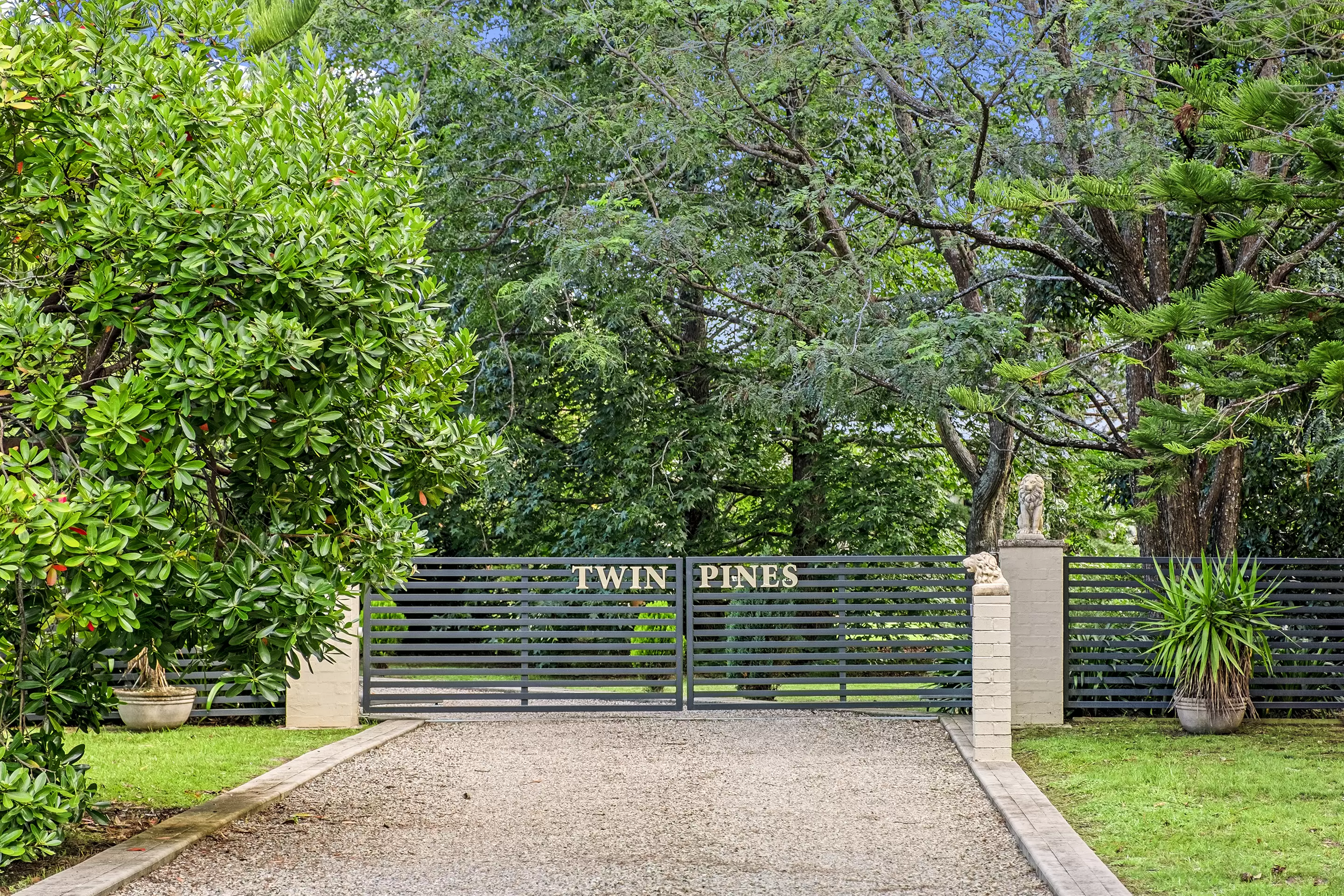 554 Mountain Lagoon Road, Bilpin Sold by Cutcliffe Properties - image 29