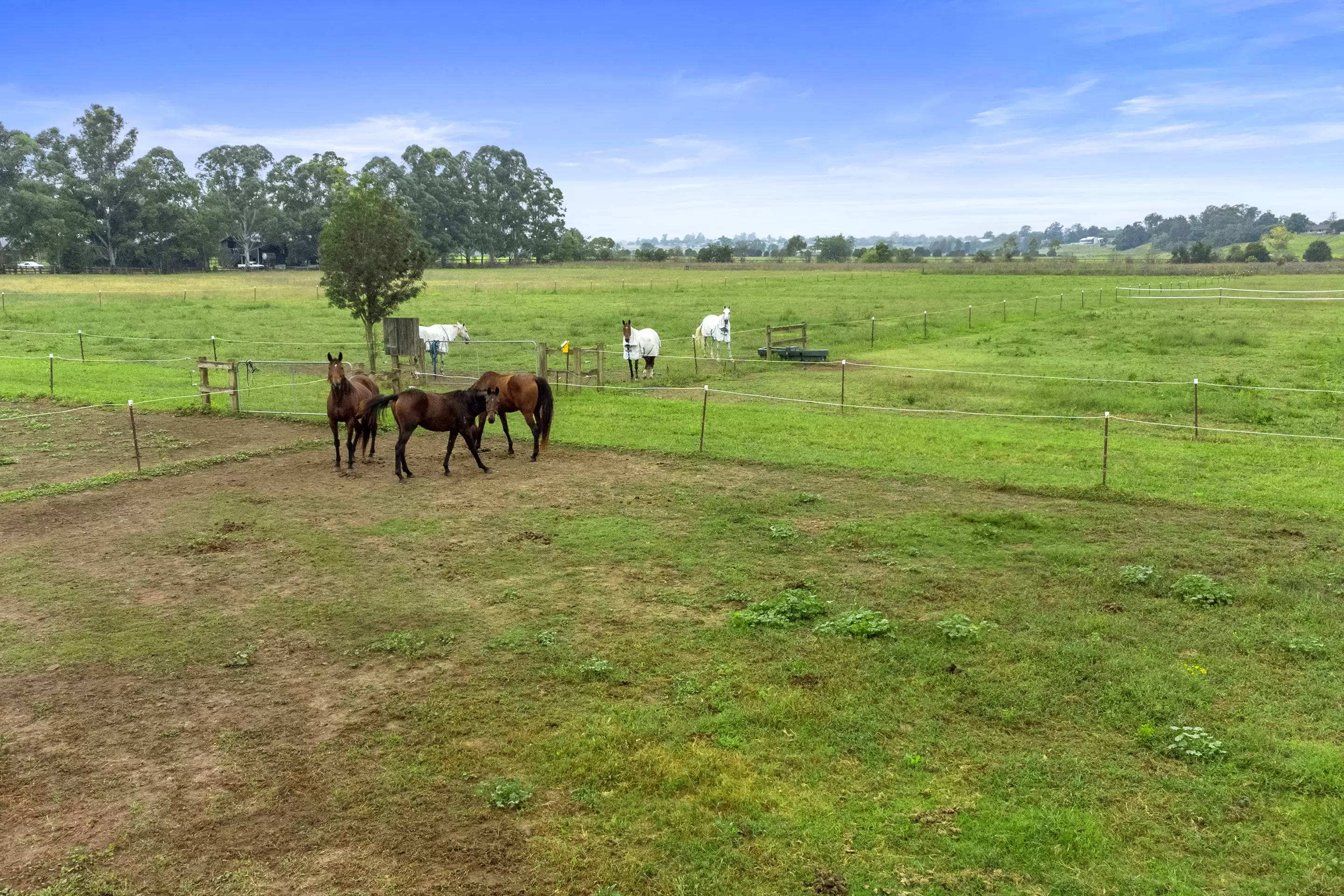 2 Triangle Lane, Richmond Lowlands Sold by Cutcliffe Properties - image 6