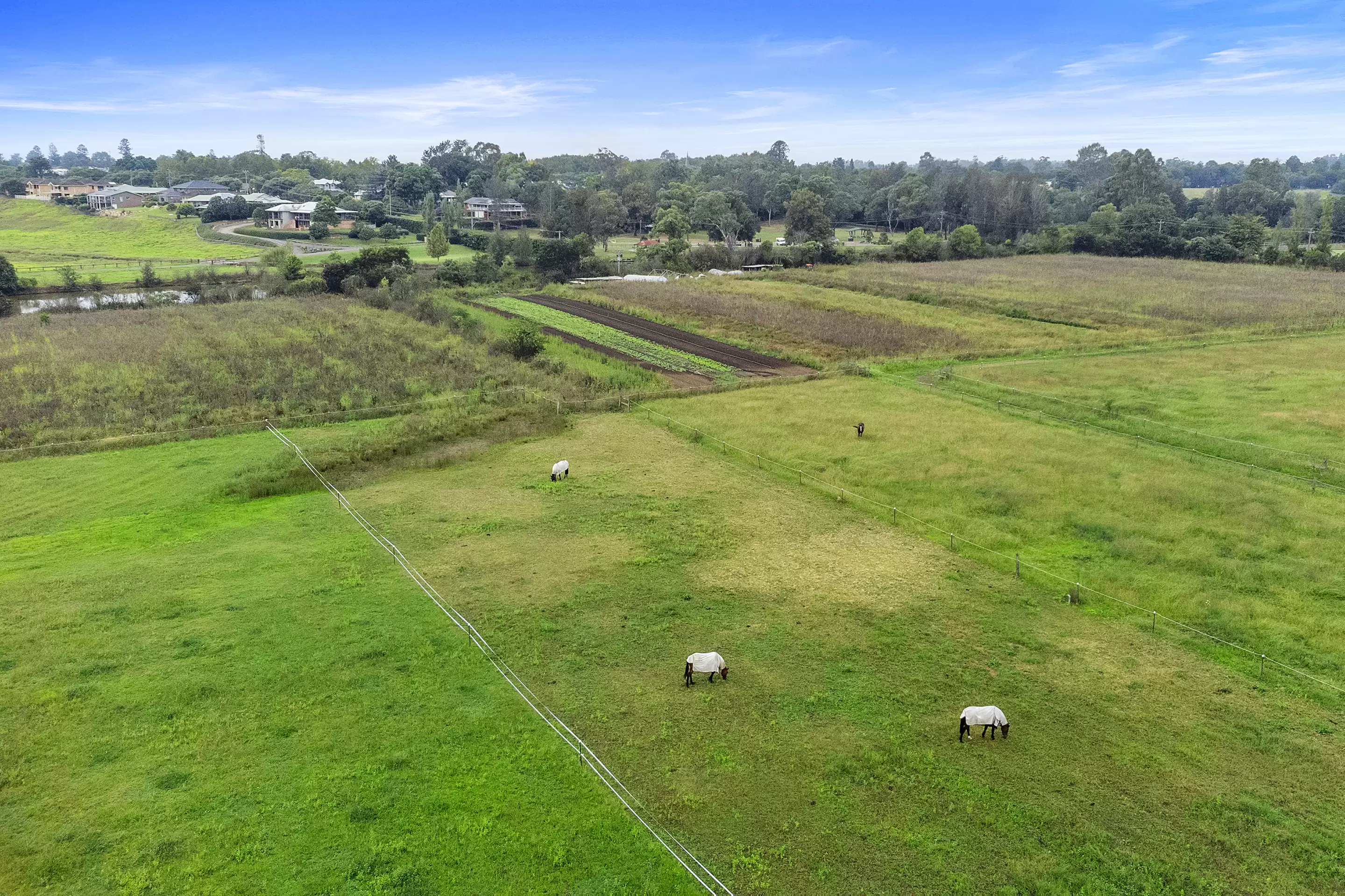 2 Triangle Lane, Richmond Lowlands Sold by Cutcliffe Properties - image 12