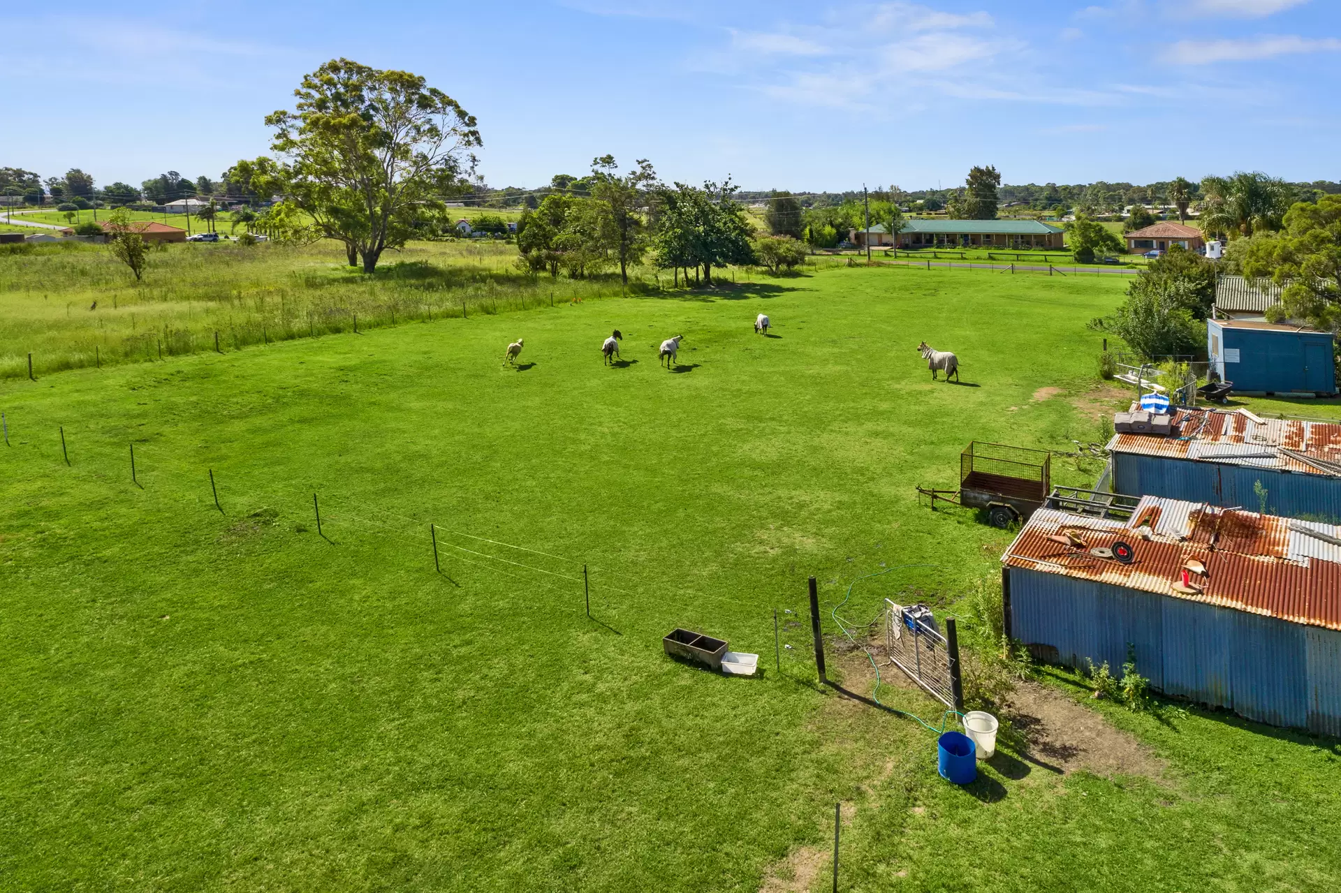 12 Jersey Road, Schofields Sold by Cutcliffe Properties - image 1
