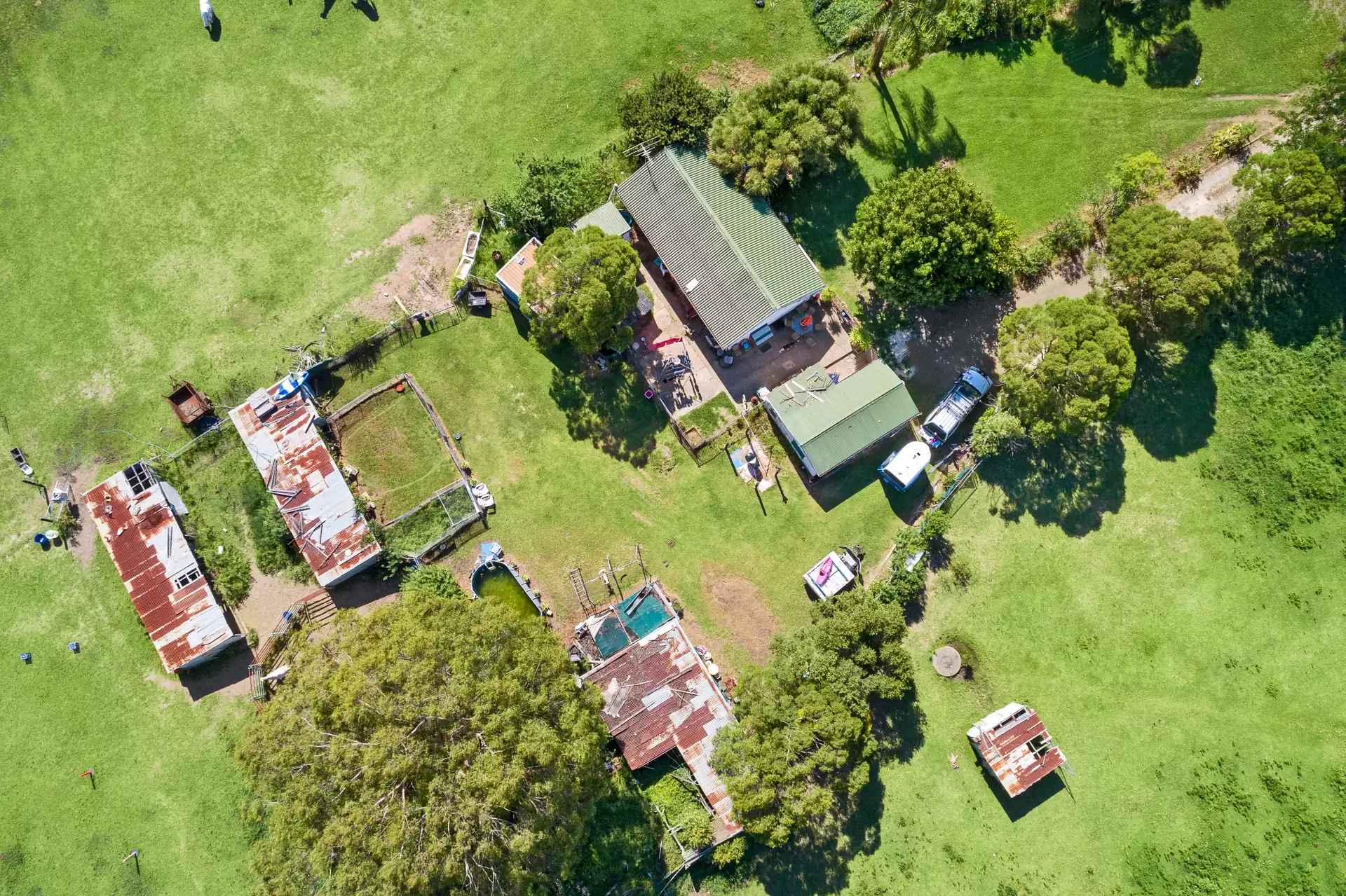 12 Jersey Road, Schofields Sold by Cutcliffe Properties - image 1