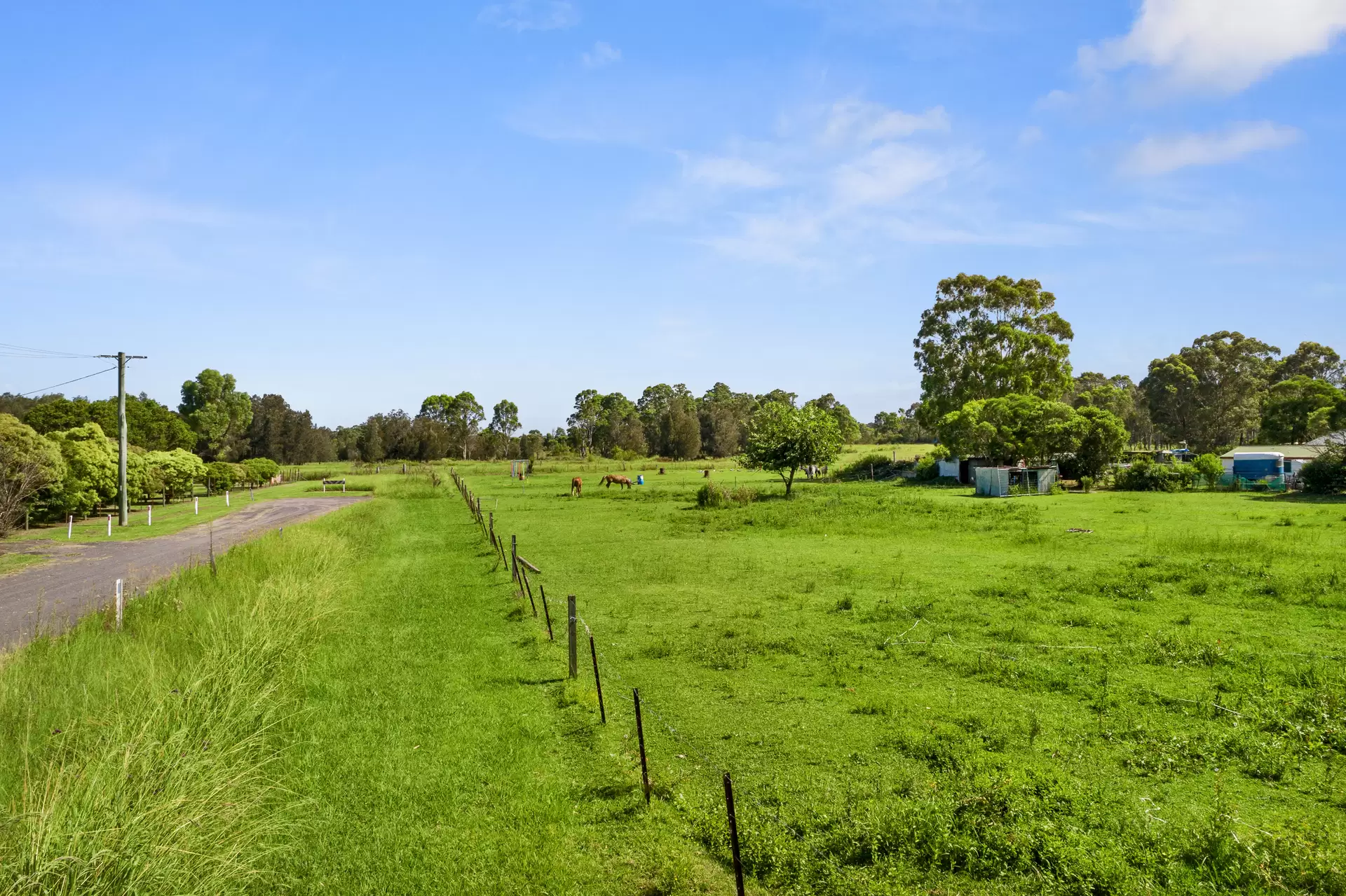 12 Jersey Road, Schofields Sold by Cutcliffe Properties - image 1