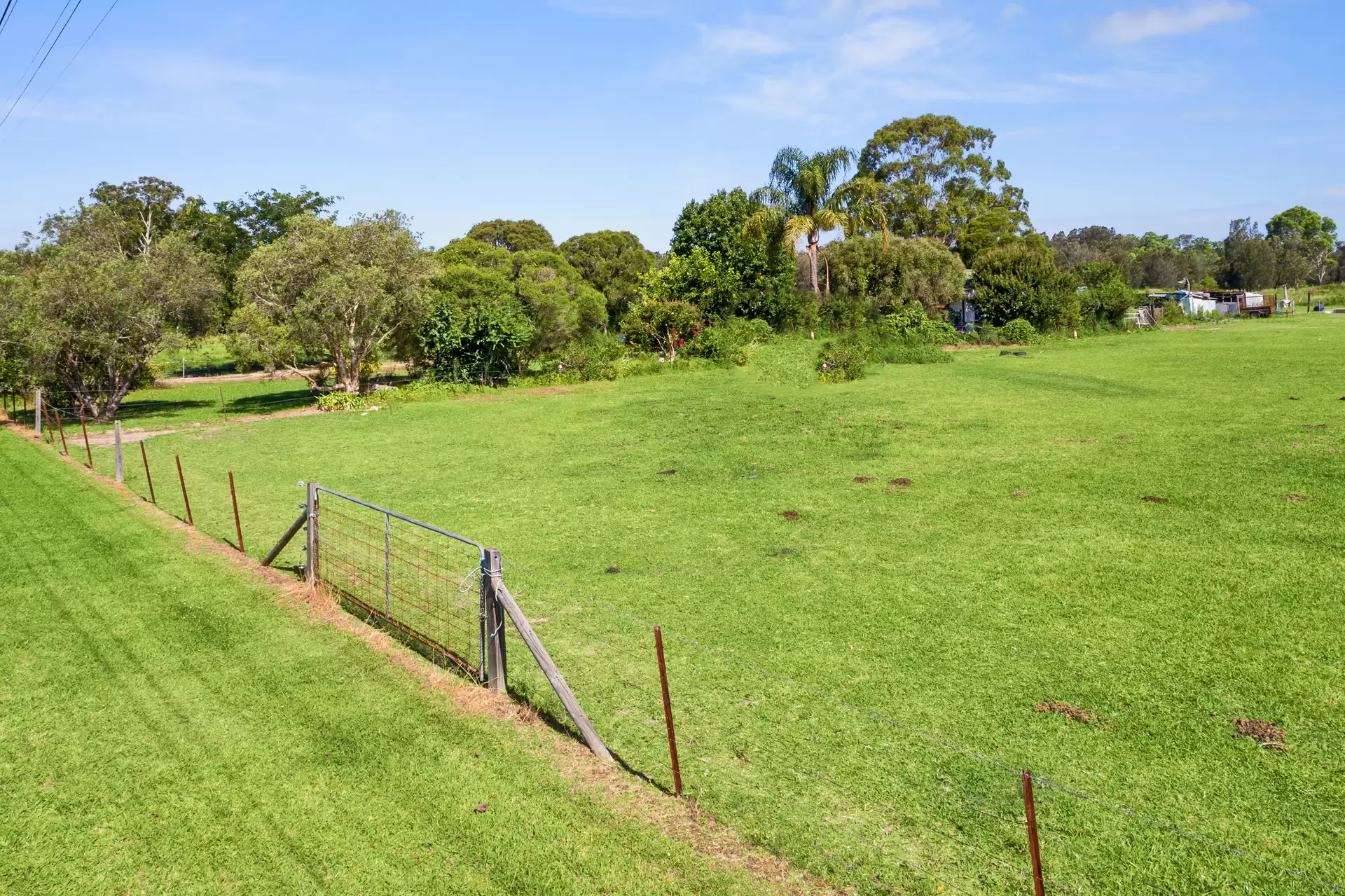 12 Jersey Road, Schofields Sold by Cutcliffe Properties - image 1