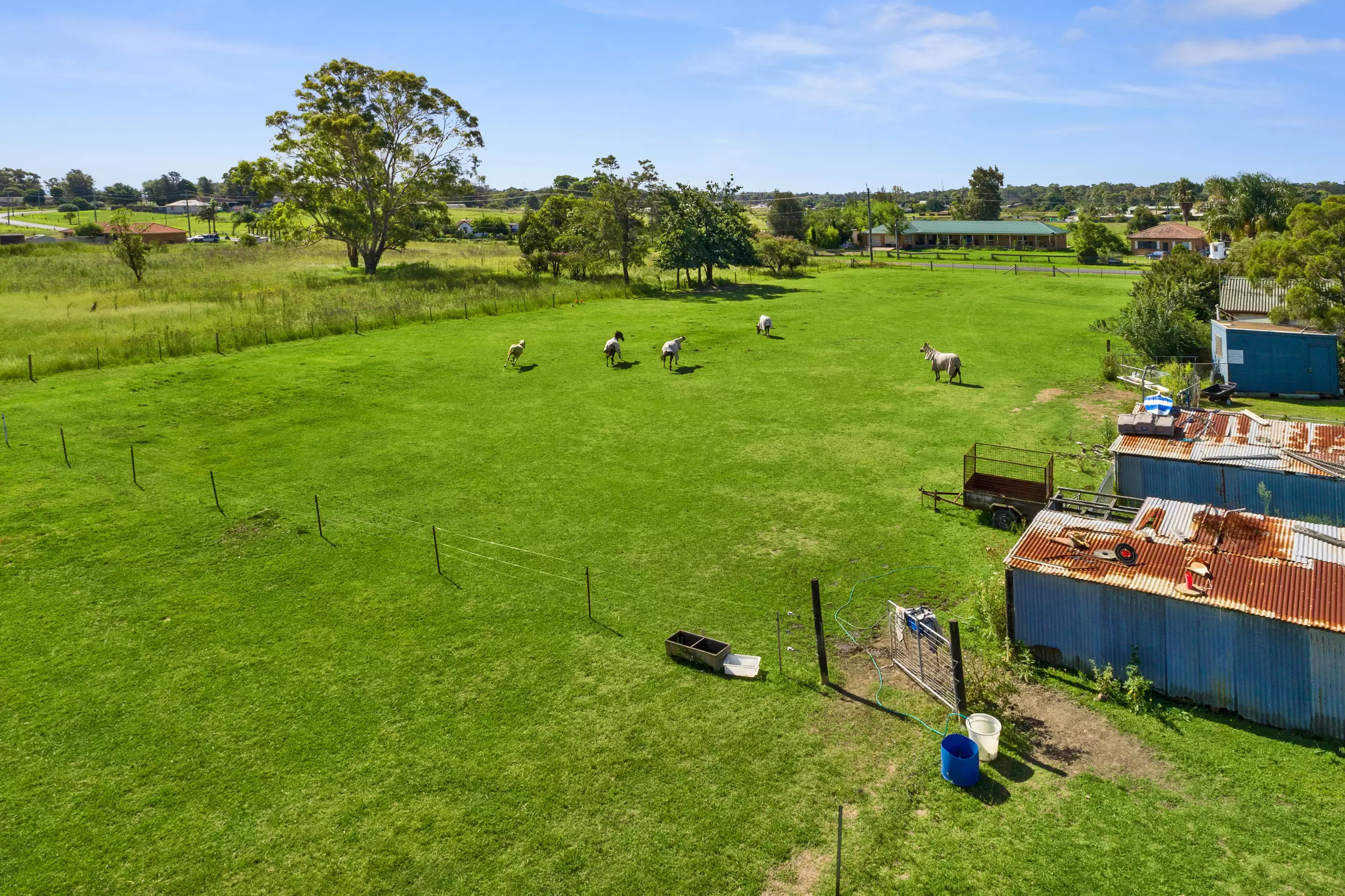 12 Jersey Road, Schofields Sold by Cutcliffe Properties - image 3
