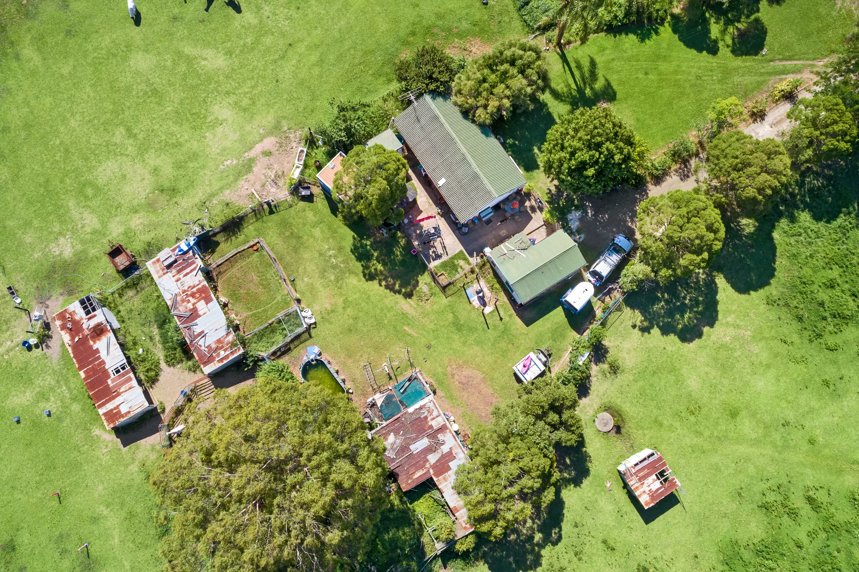 12 Jersey Road, Schofields Sold by Cutcliffe Properties - image 6