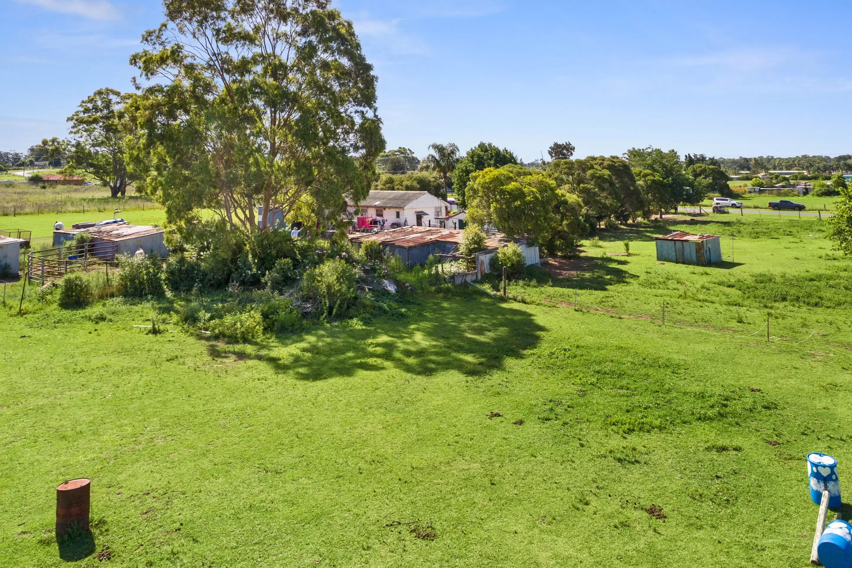 12 Jersey Road, Schofields Sold by Cutcliffe Properties - image 7