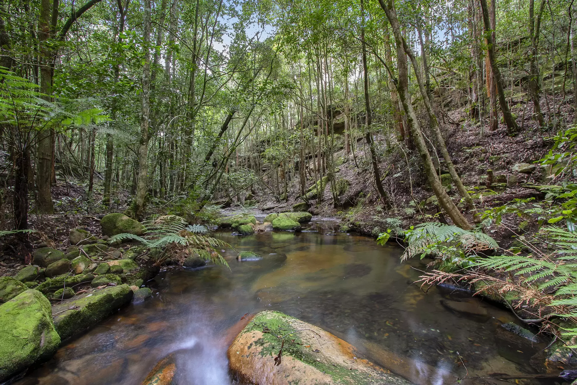 30A Douglas Farm Road, Kurrajong Hills Sold by Cutcliffe Properties - image 1
