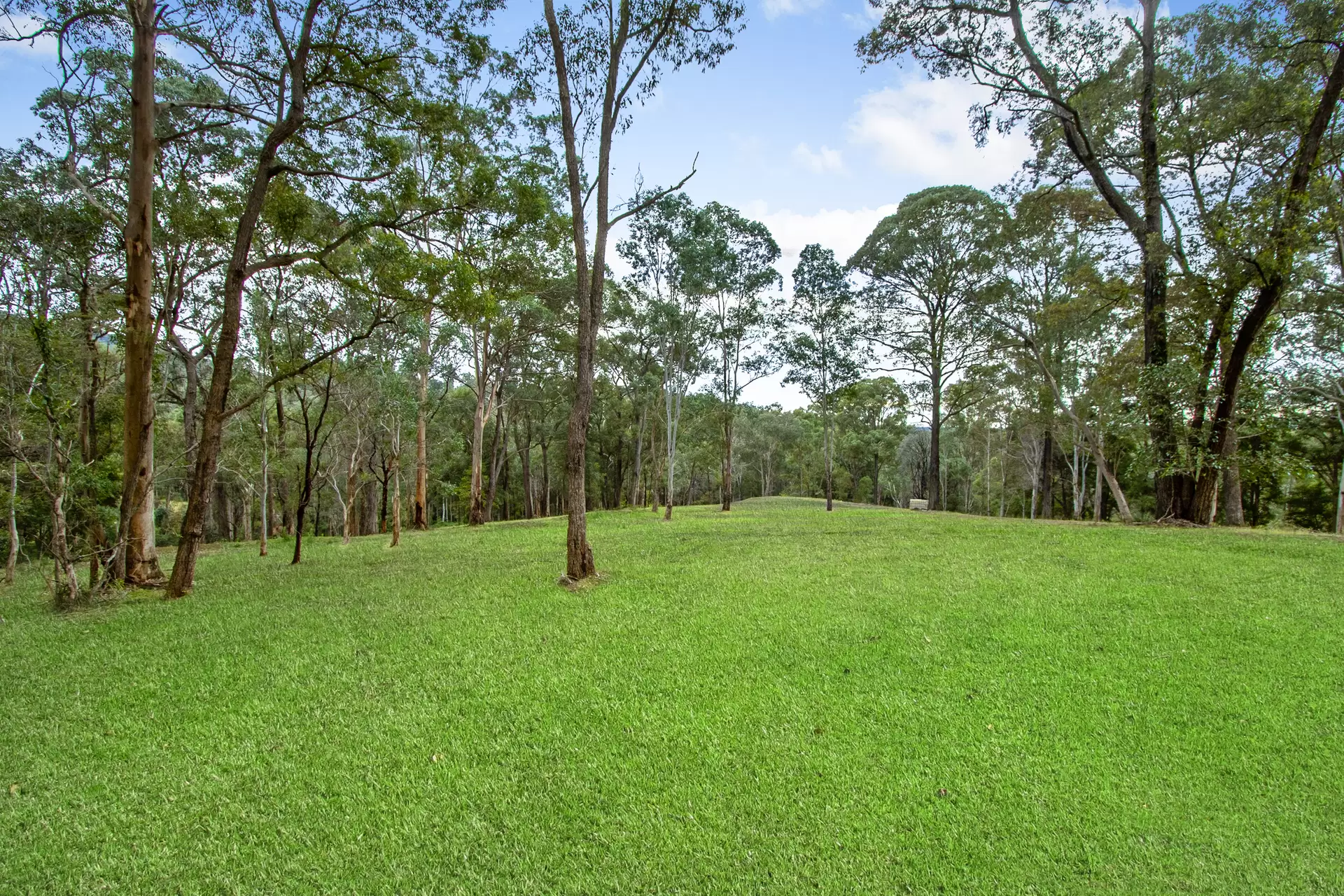 30A Douglas Farm Road, Kurrajong Hills Sold by Cutcliffe Properties - image 1