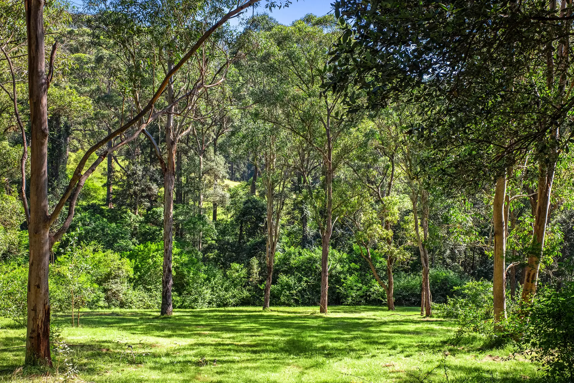 30A Douglas Farm Road, Kurrajong Hills Sold by Cutcliffe Properties - image 1