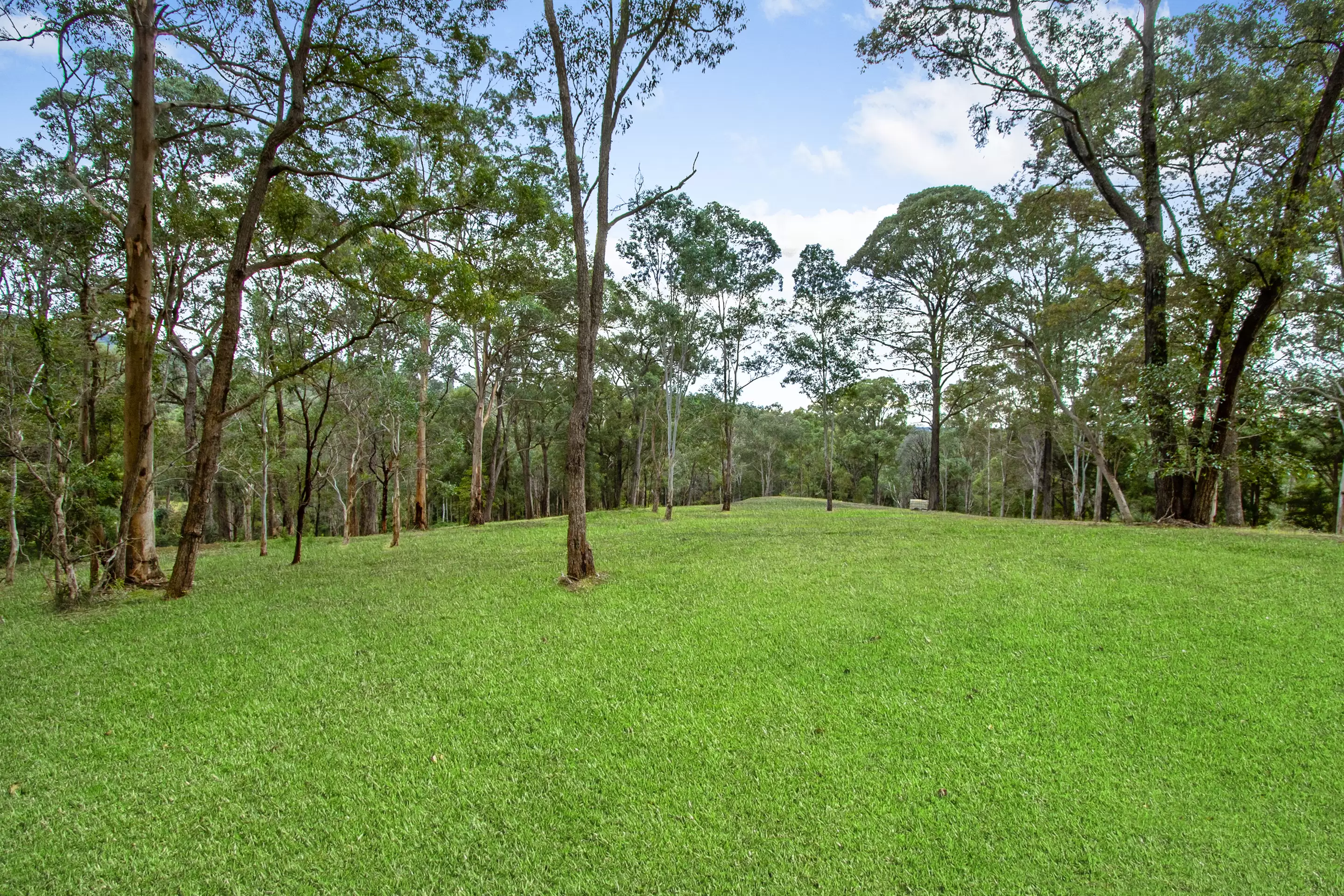 30A Douglas Farm Road, Kurrajong Hills Sold by Cutcliffe Properties - image 2