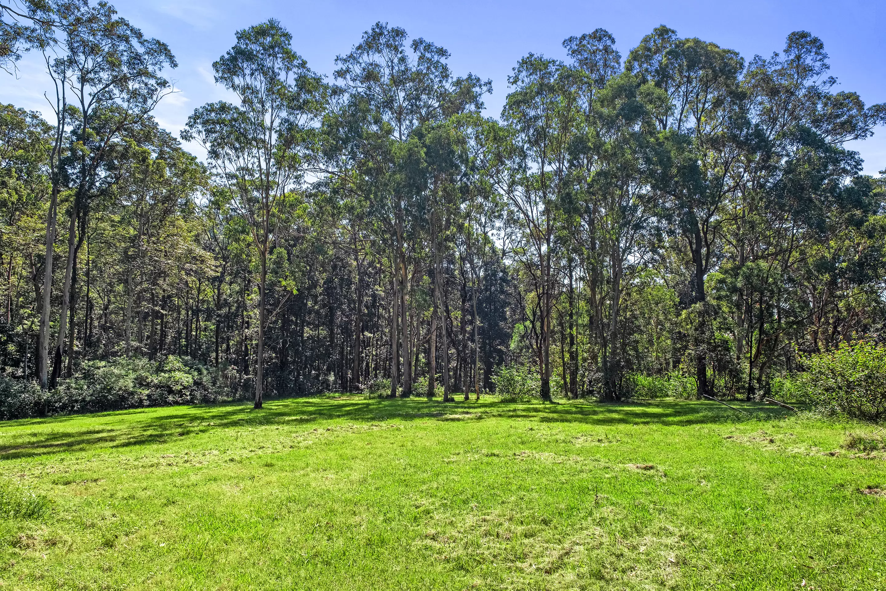 30A Douglas Farm Road, Kurrajong Hills Sold by Cutcliffe Properties - image 5