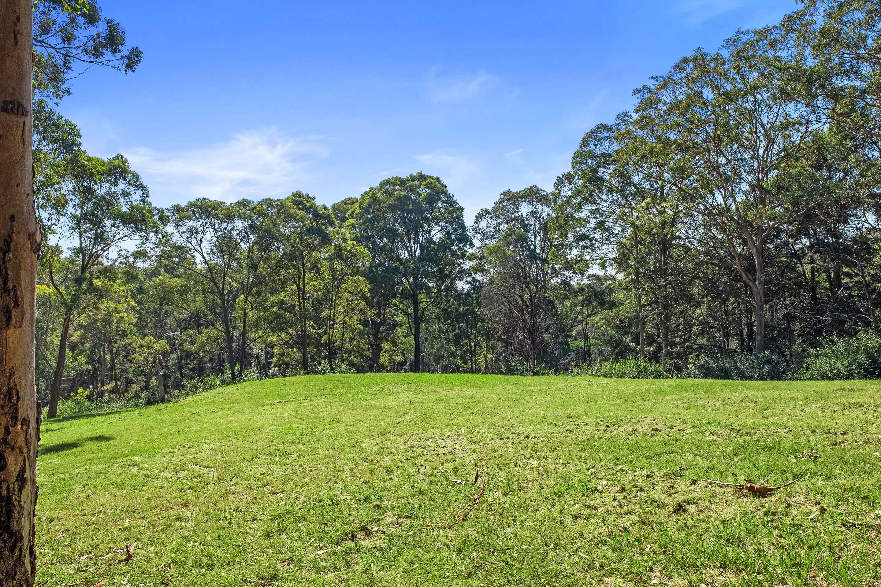 30A Douglas Farm Road, Kurrajong Hills Sold by Cutcliffe Properties - image 3