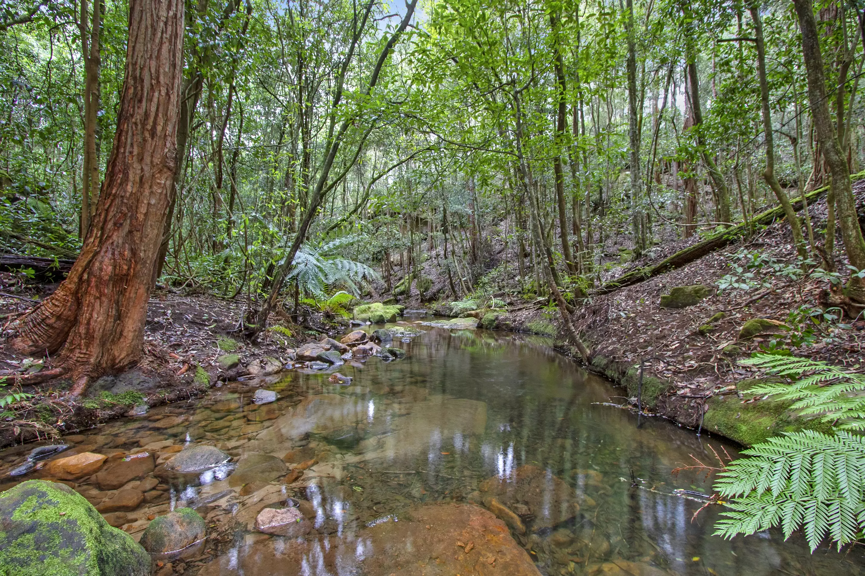 30A Douglas Farm Road, Kurrajong Hills Sold by Cutcliffe Properties - image 7