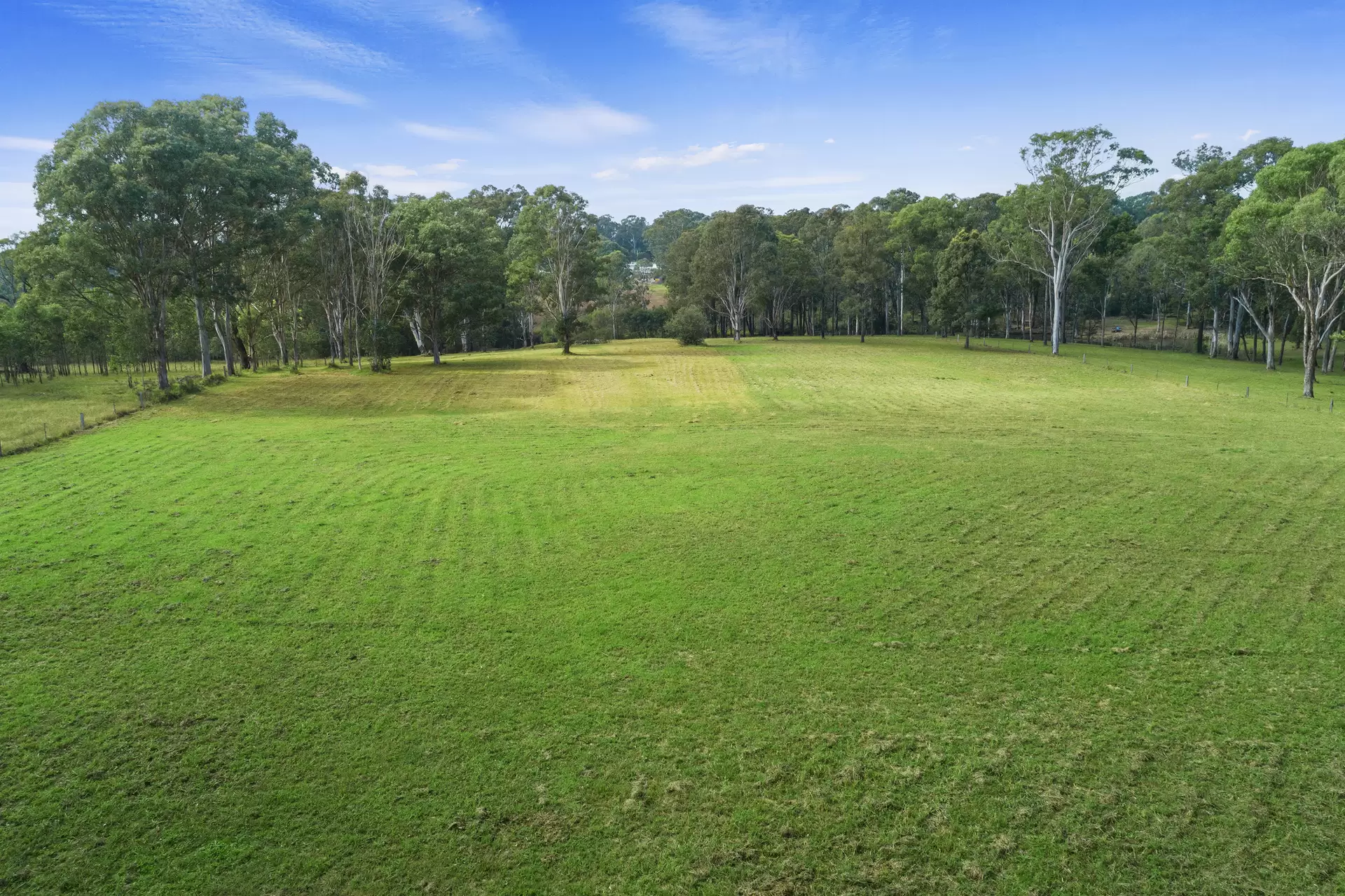 19 Mark Road, Nelson Sold by Cutcliffe Properties - image 1