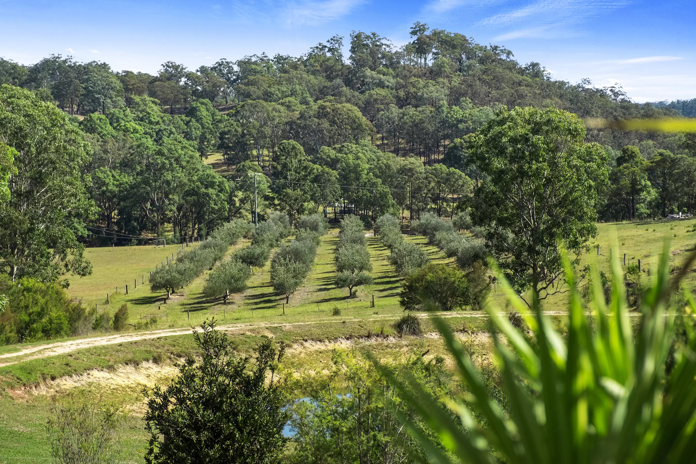 2/6299 Putty Road, Howes Valley Sold by Cutcliffe Properties - image 21