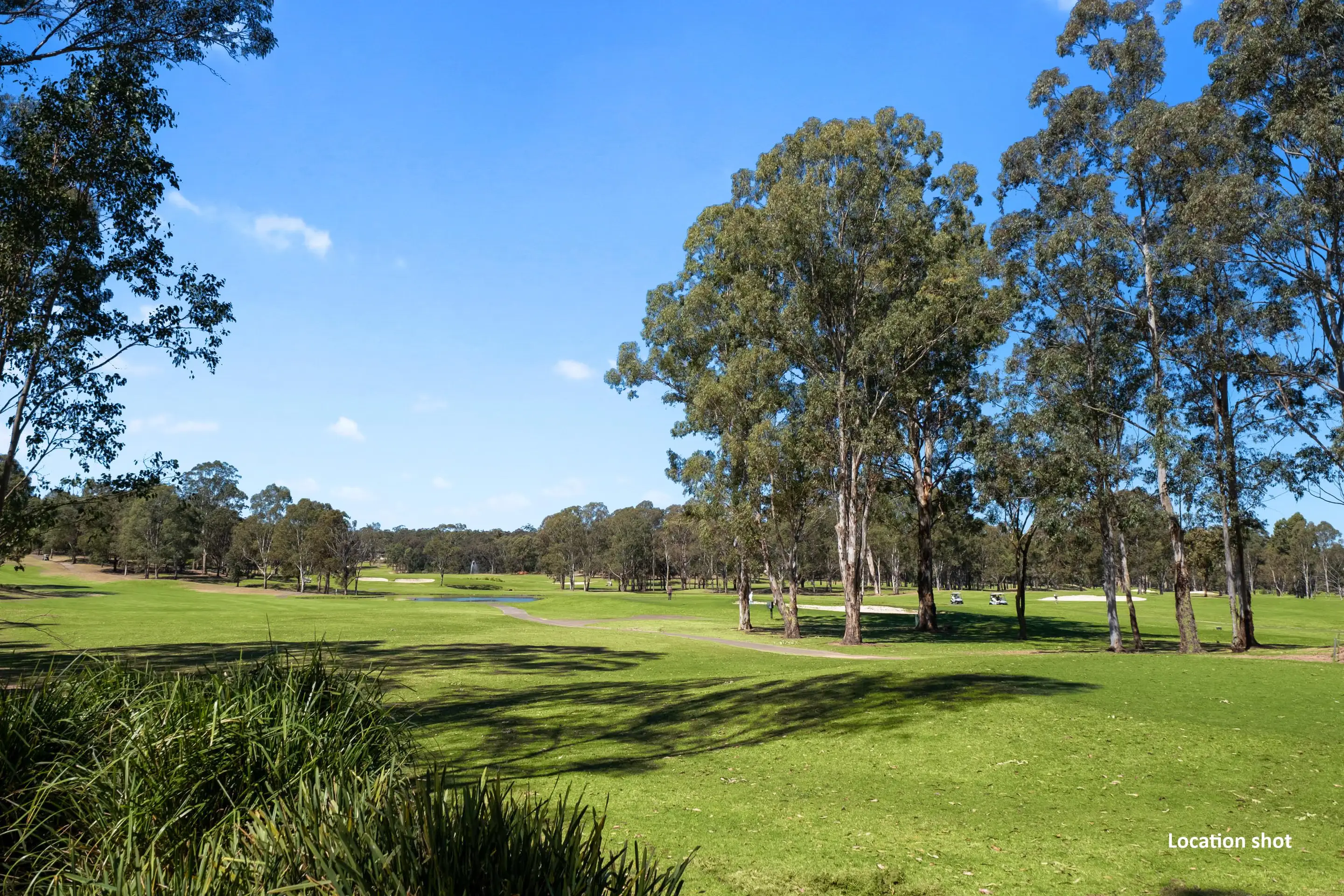 Cattai Sold by Cutcliffe Properties - image 6