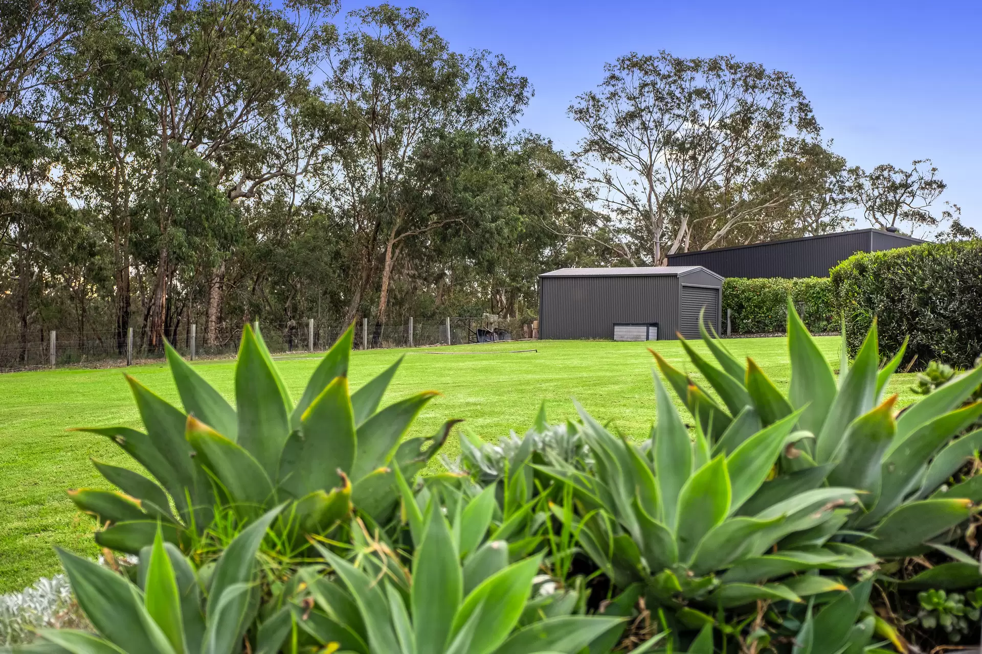 8 Moss Ridge, Sackville North Sold by Cutcliffe Properties - image 1
