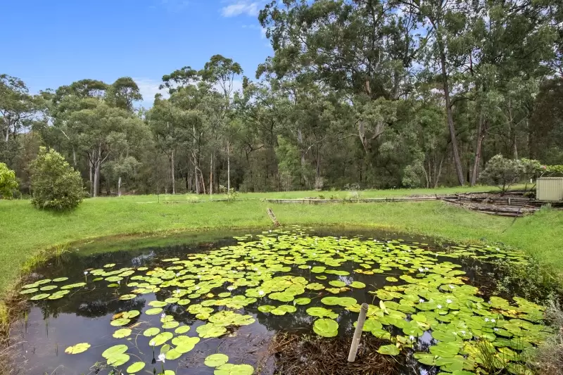 103 Hillcrest Road, Yarramundi Leased by Cutcliffe Properties - image 9