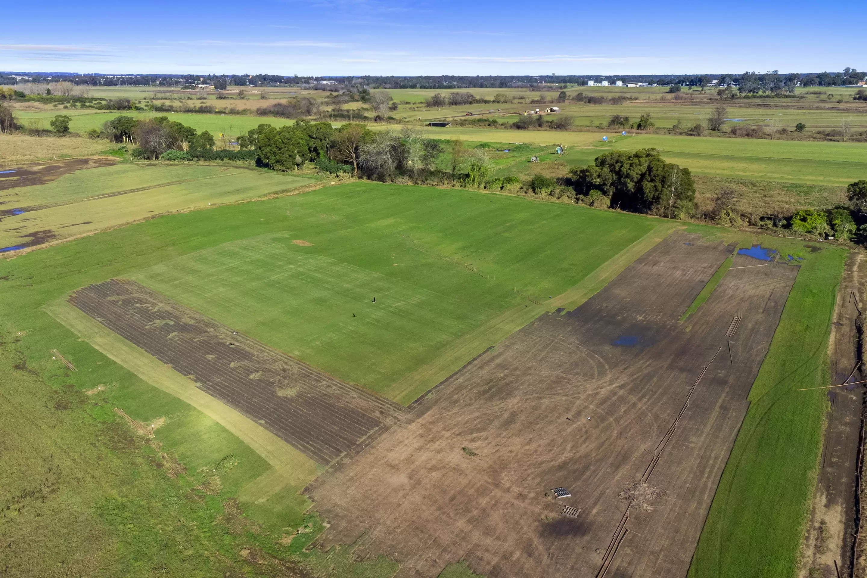 380 Cornwallis Road, Cornwallis Sold by Cutcliffe Properties - image 9