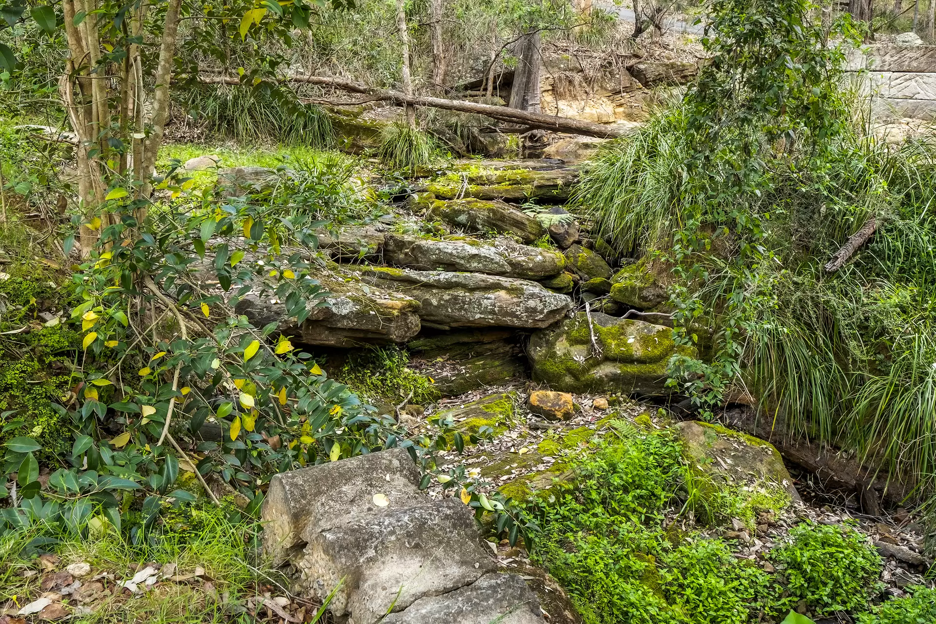 13 Kentucky Drive, Glossodia Sold by Cutcliffe Properties - image 1