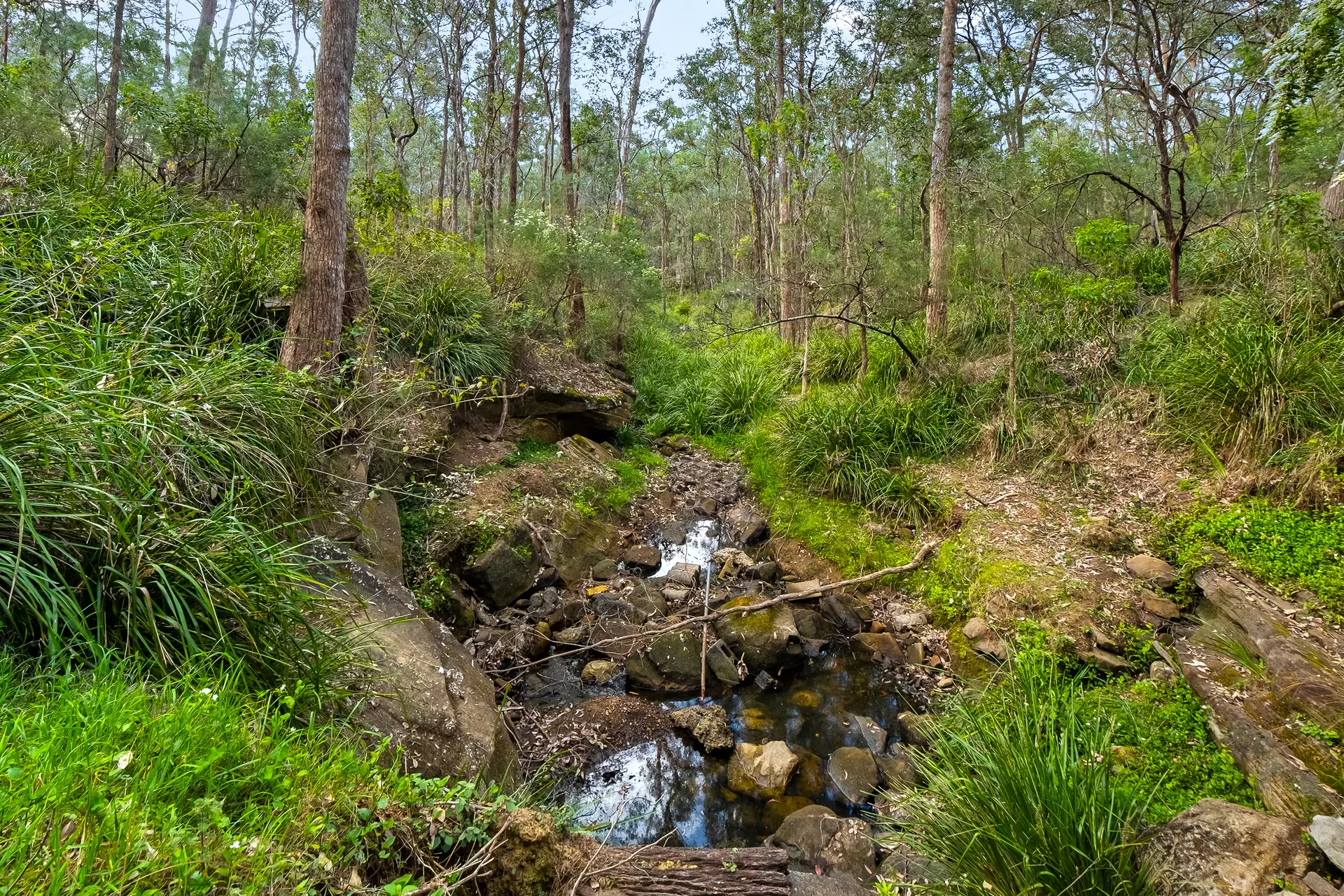 13 Kentucky Drive, Glossodia Sold by Cutcliffe Properties - image 1