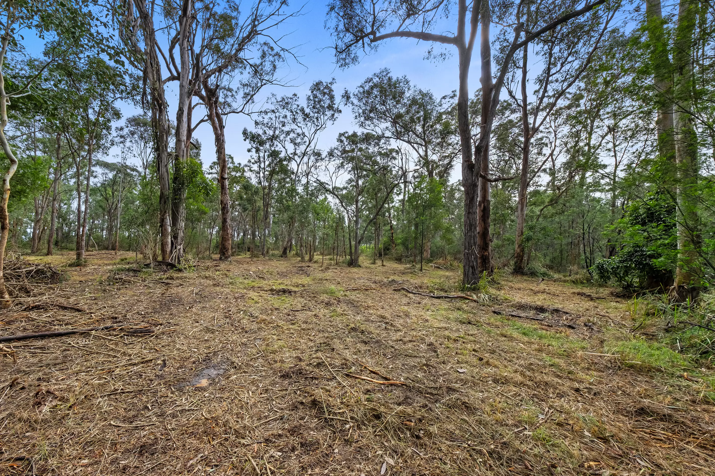13 Kentucky Drive, Glossodia Sold by Cutcliffe Properties - image 11