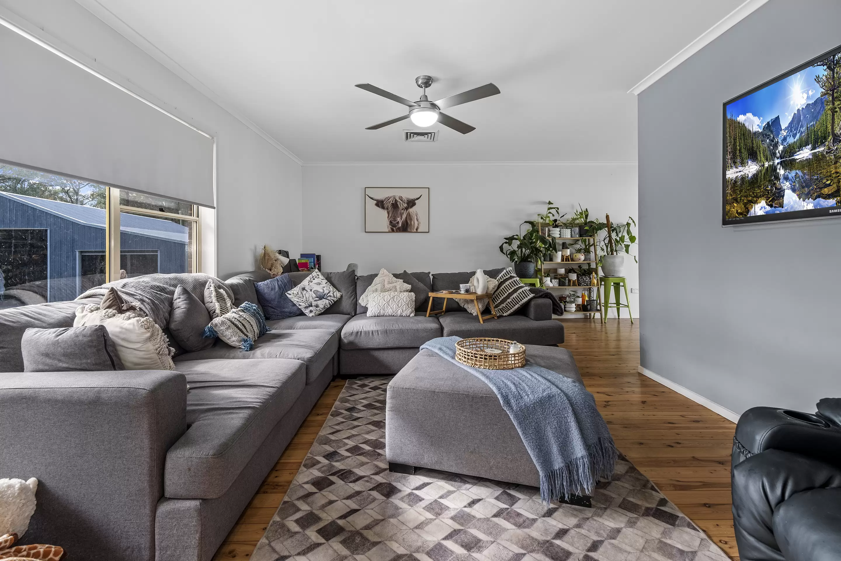 35 Wattle Crescent, Glossodia Sold by Cutcliffe Properties - image 4