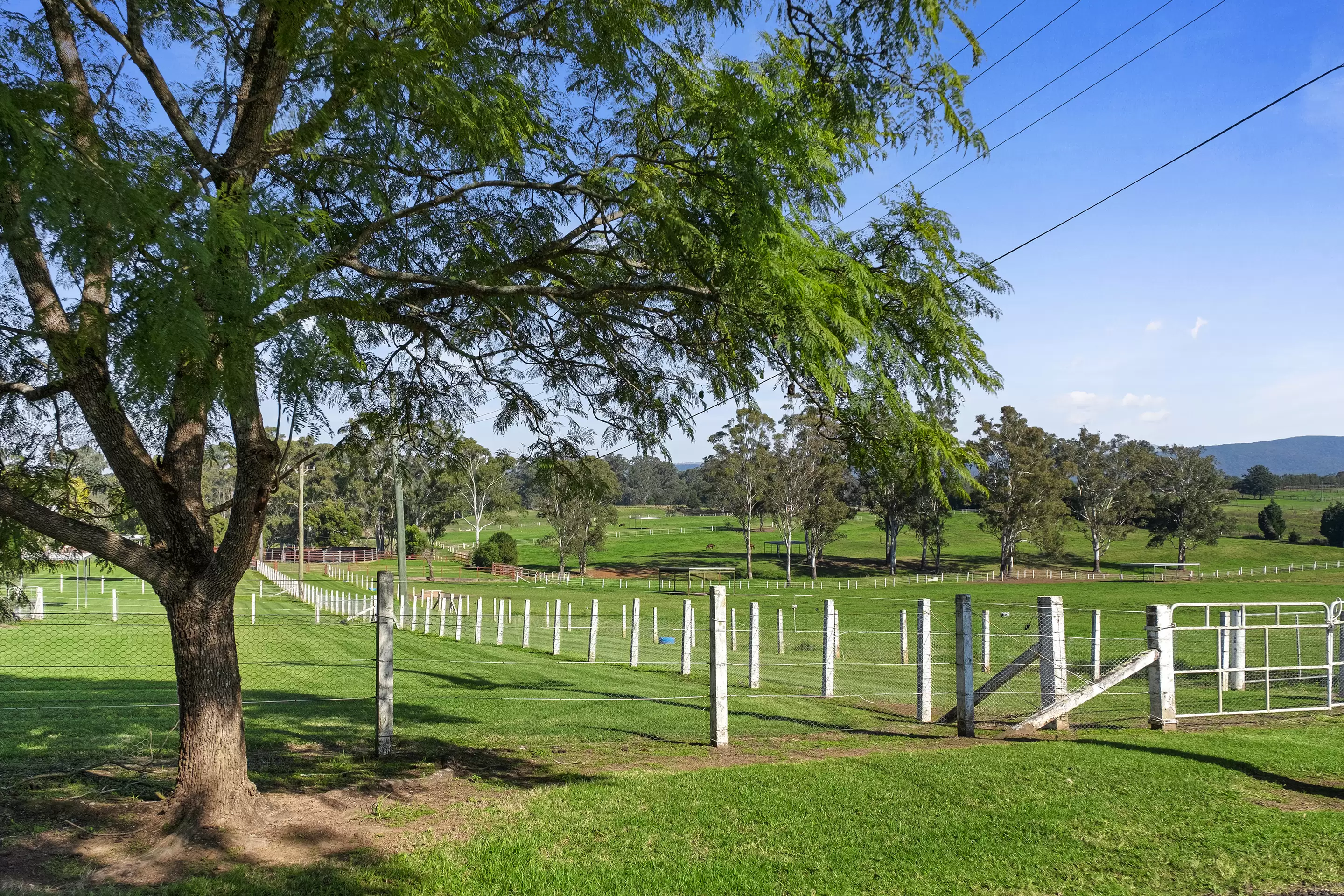 Lot 18, 226-228 Grose River Road, Grose Wold Sold by Cutcliffe Properties - image 3
