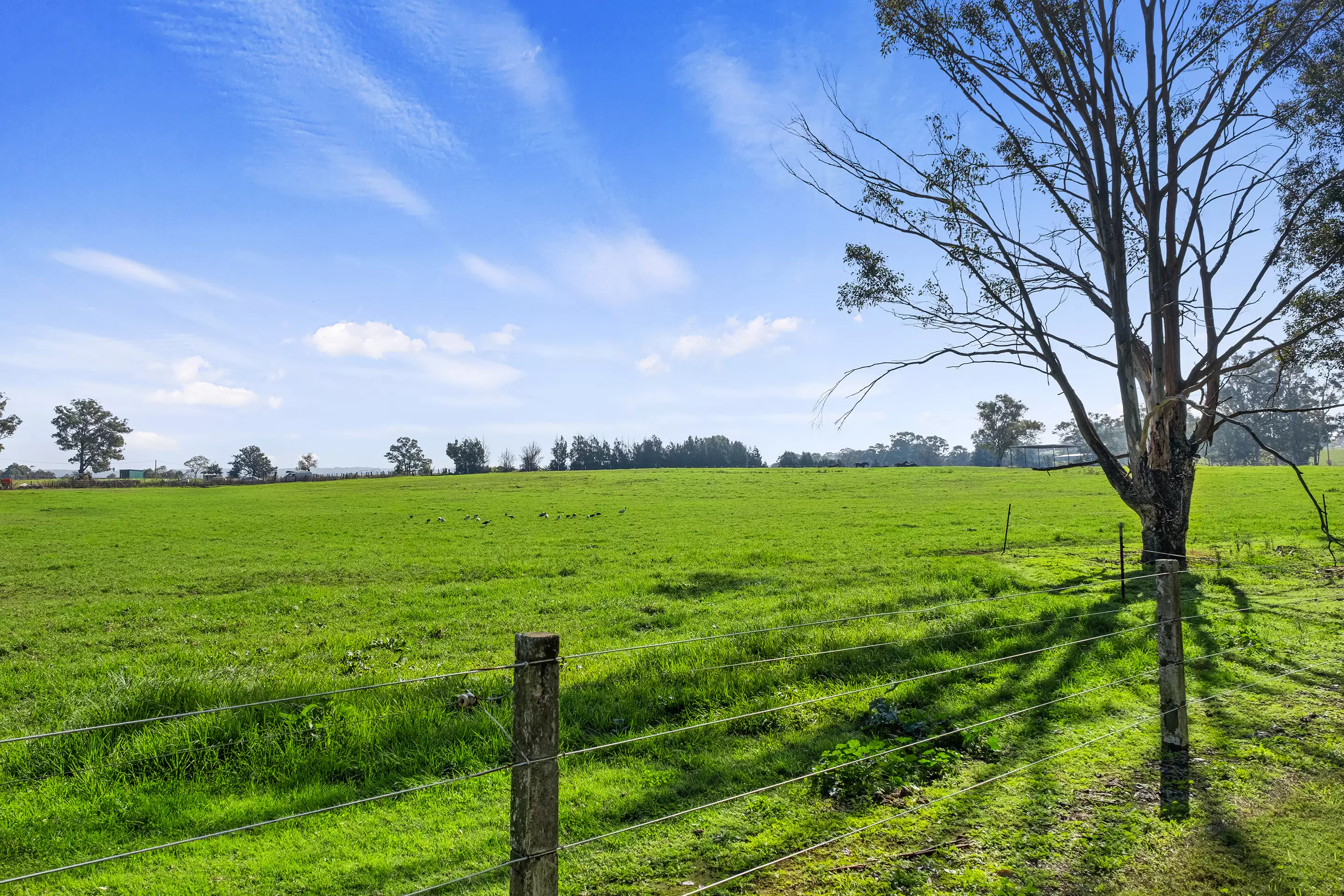 Lot 18, 226-228 Grose River Road, Grose Wold Sold by Cutcliffe Properties - image 4