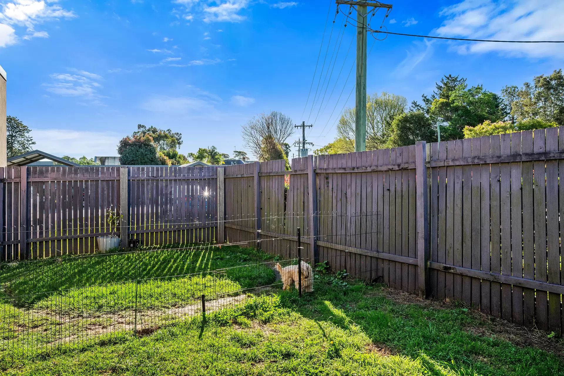 12/30 Bowman Street, Richmond Sold by Cutcliffe Properties - image 1