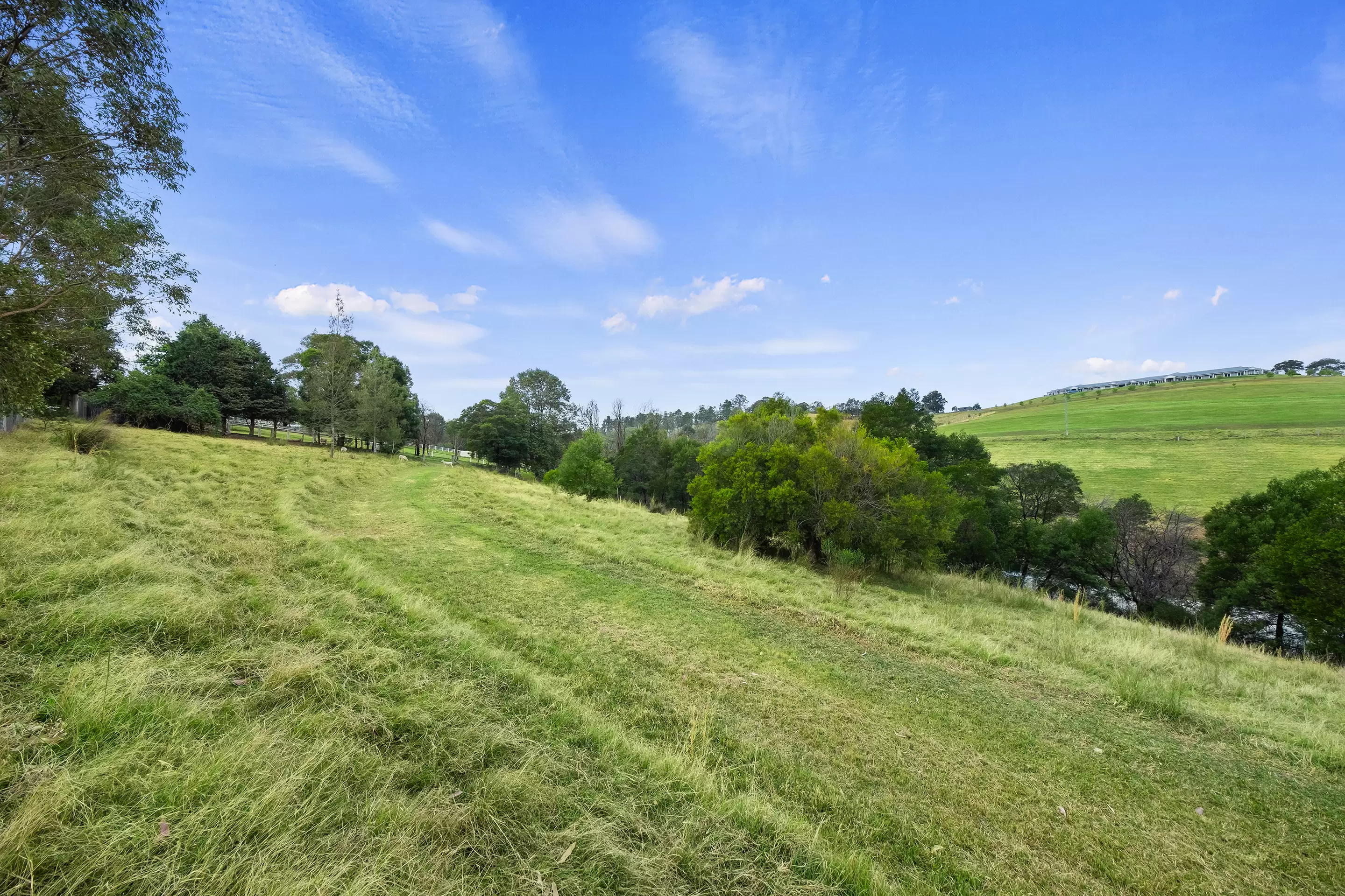 66 Baileys Lane, Kurrajong Hills For Sale by Cutcliffe Properties - image 3