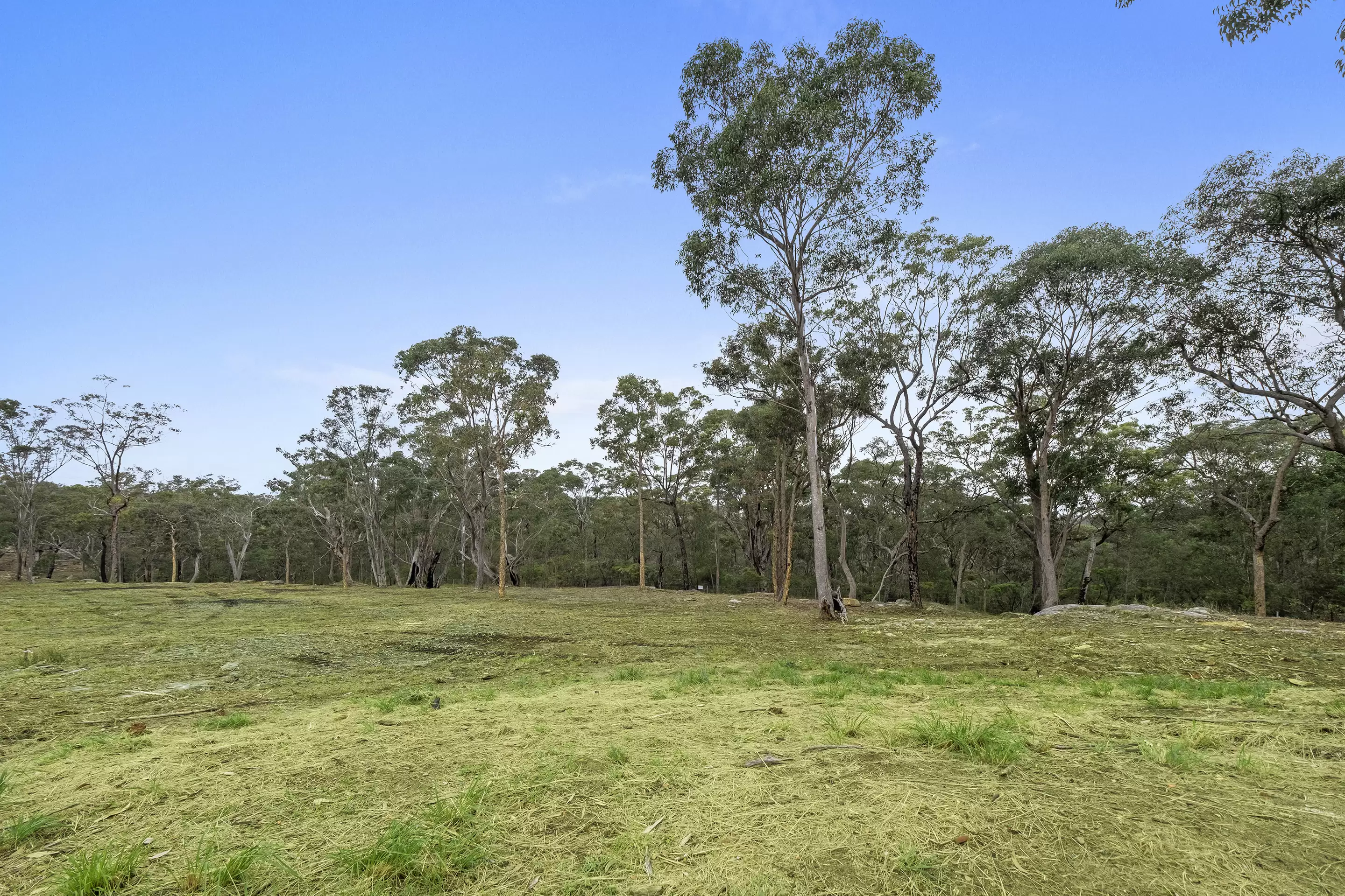 Lot 13,  600-620 Wisemans Ferry Road, South Maroota Sold by Cutcliffe Properties - image 3