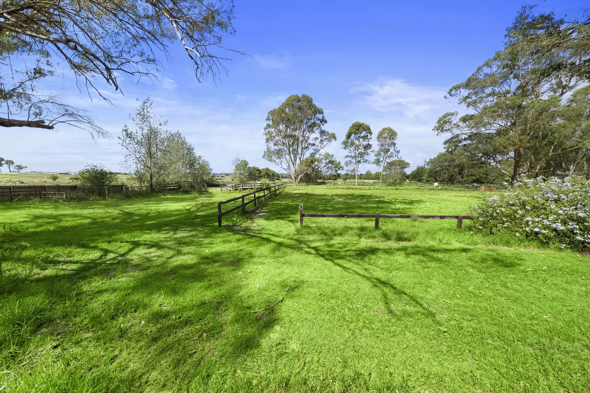 308 Fairey Road, South Windsor Sold by Cutcliffe Properties - image 1