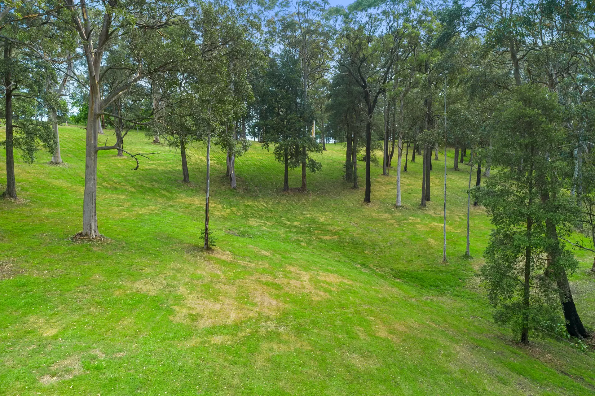 1 Sams Way, Mountain Lagoon Sold by Cutcliffe Properties - image 1