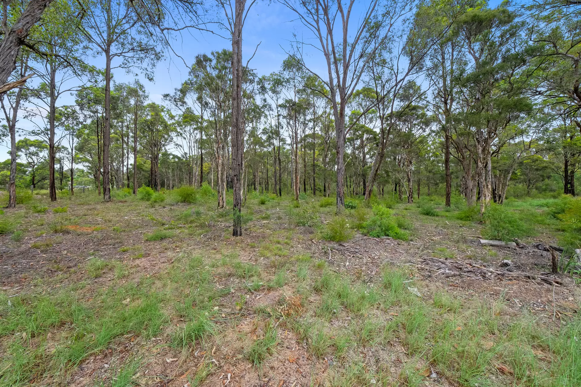 821 The Northern Road, Cranebrook Sold by Cutcliffe Properties - image 1