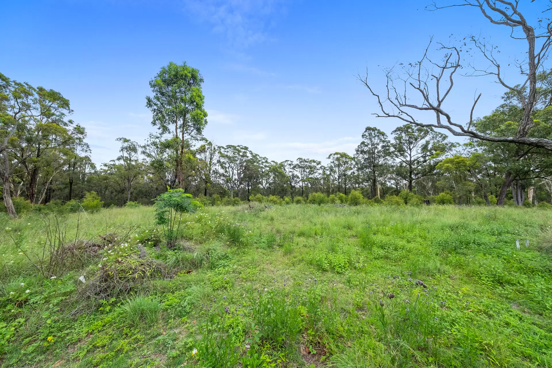 821 The Northern Road, Cranebrook Sold by Cutcliffe Properties - image 1