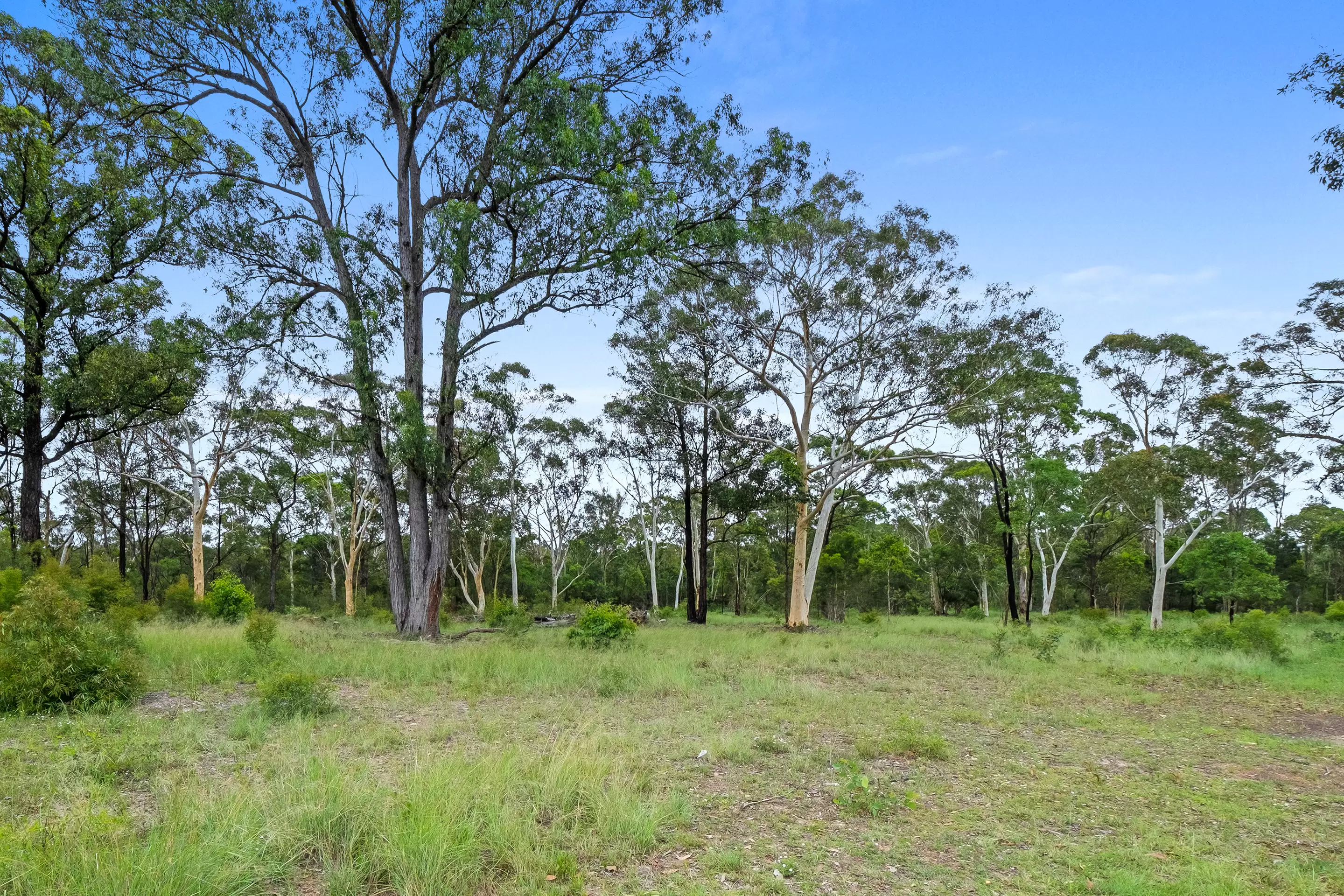 821 The Northern Road, Cranebrook Sold by Cutcliffe Properties - image 4