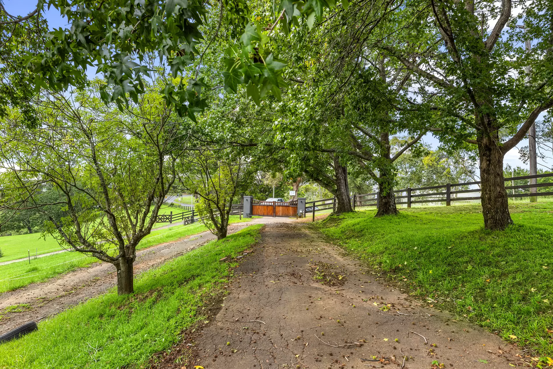 760 Grose Vale Road, Grose Vale Sold by Cutcliffe Properties - image 1