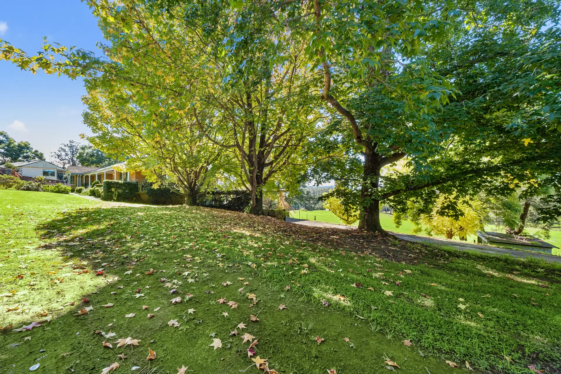 760 Grose Vale Road, Grose Vale Sold by Cutcliffe Properties - image 1
