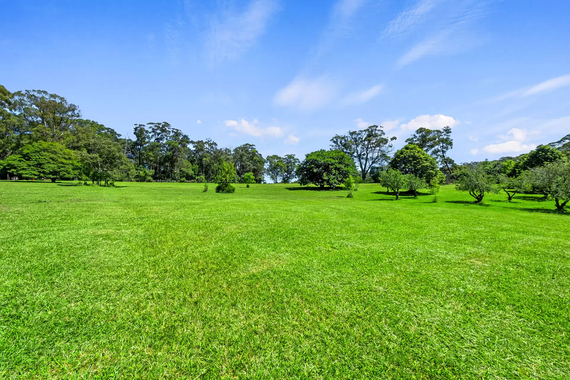 1619c Bells Line of Road, Kurrajong Heights Sold by Cutcliffe Properties - image 1