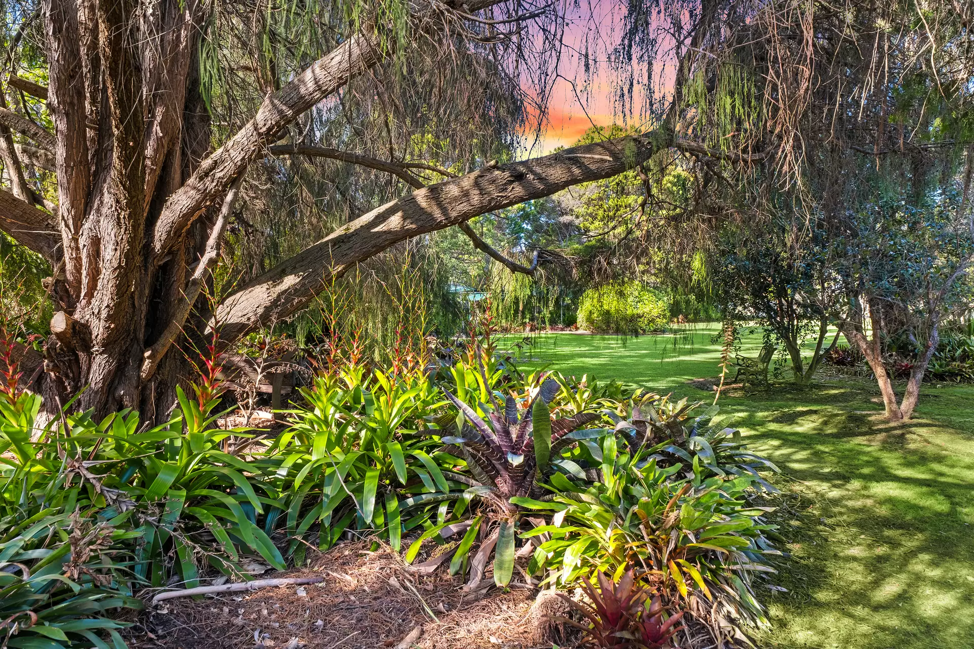 2672 Old Northern Road, Glenorie Sold by Cutcliffe Properties - image 1