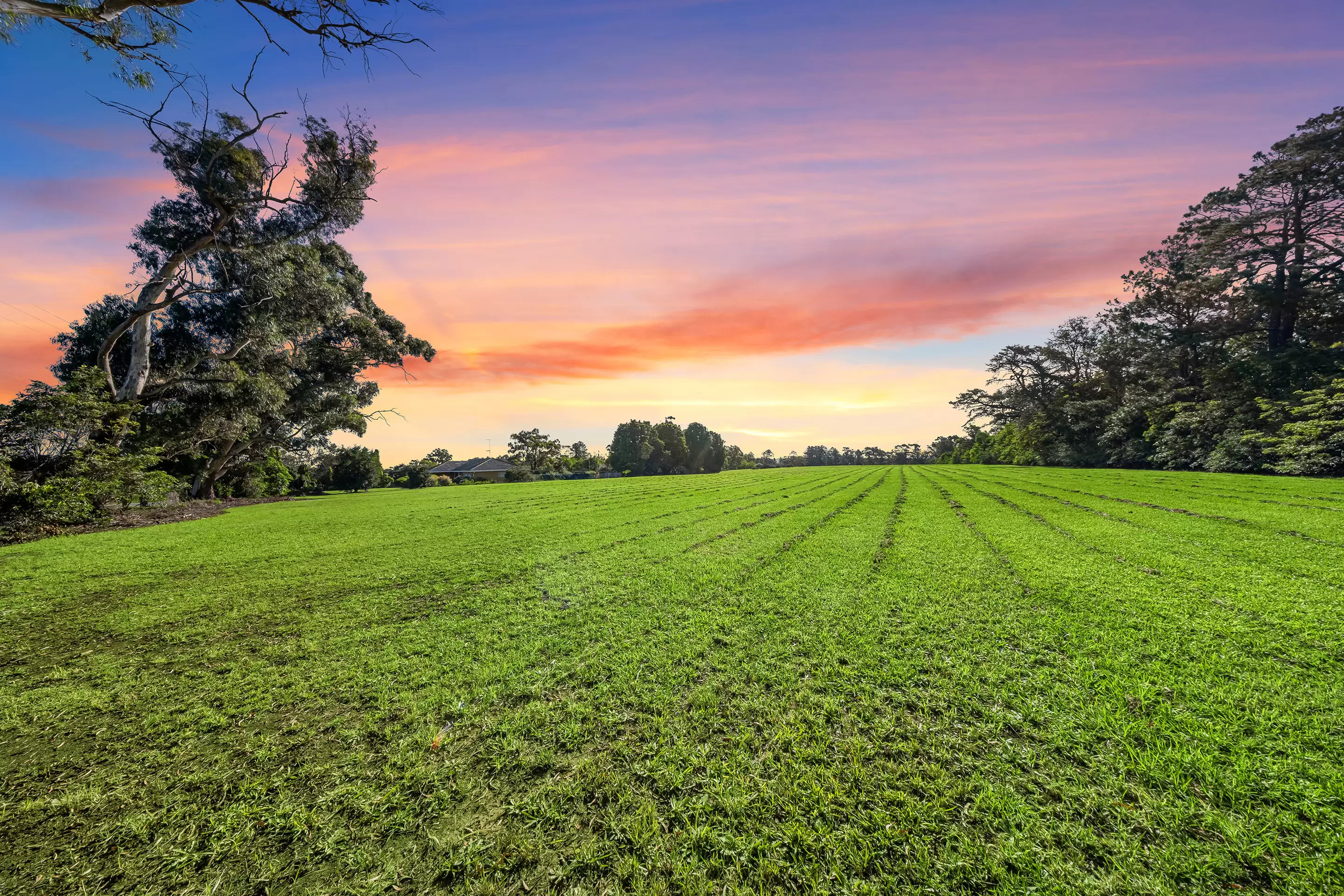 2672 Old Northern Road, Glenorie Sold by Cutcliffe Properties - image 3