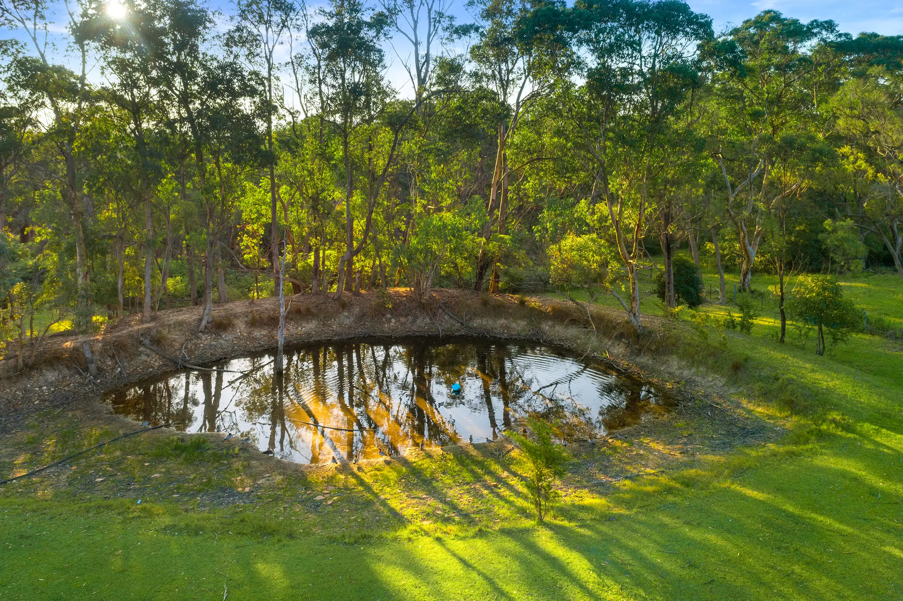 888 Wisemans Ferry Road, South Maroota Sold by Cutcliffe Properties - image 31