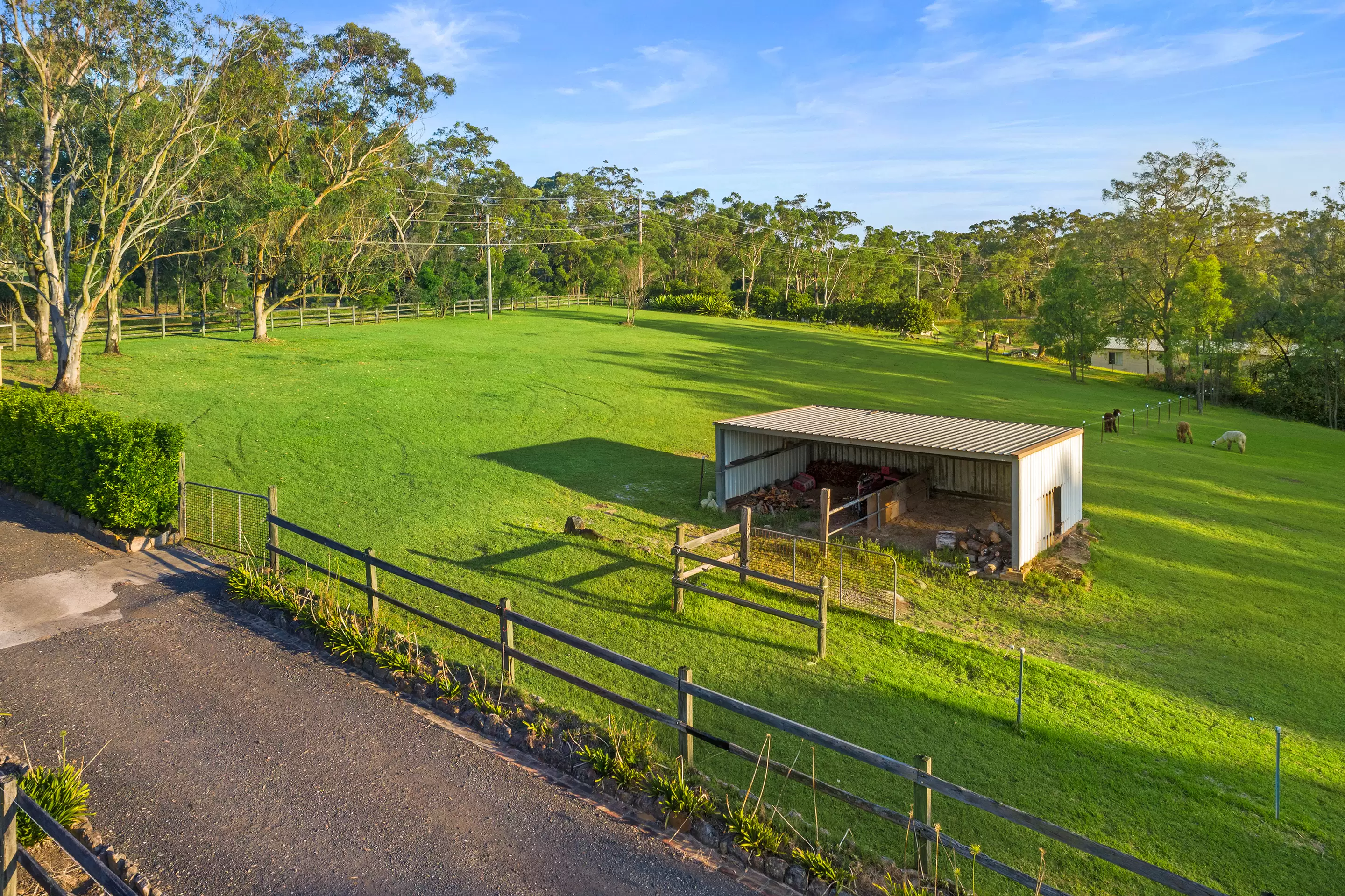 888 Wisemans Ferry Road, South Maroota Sold by Cutcliffe Properties - image 29