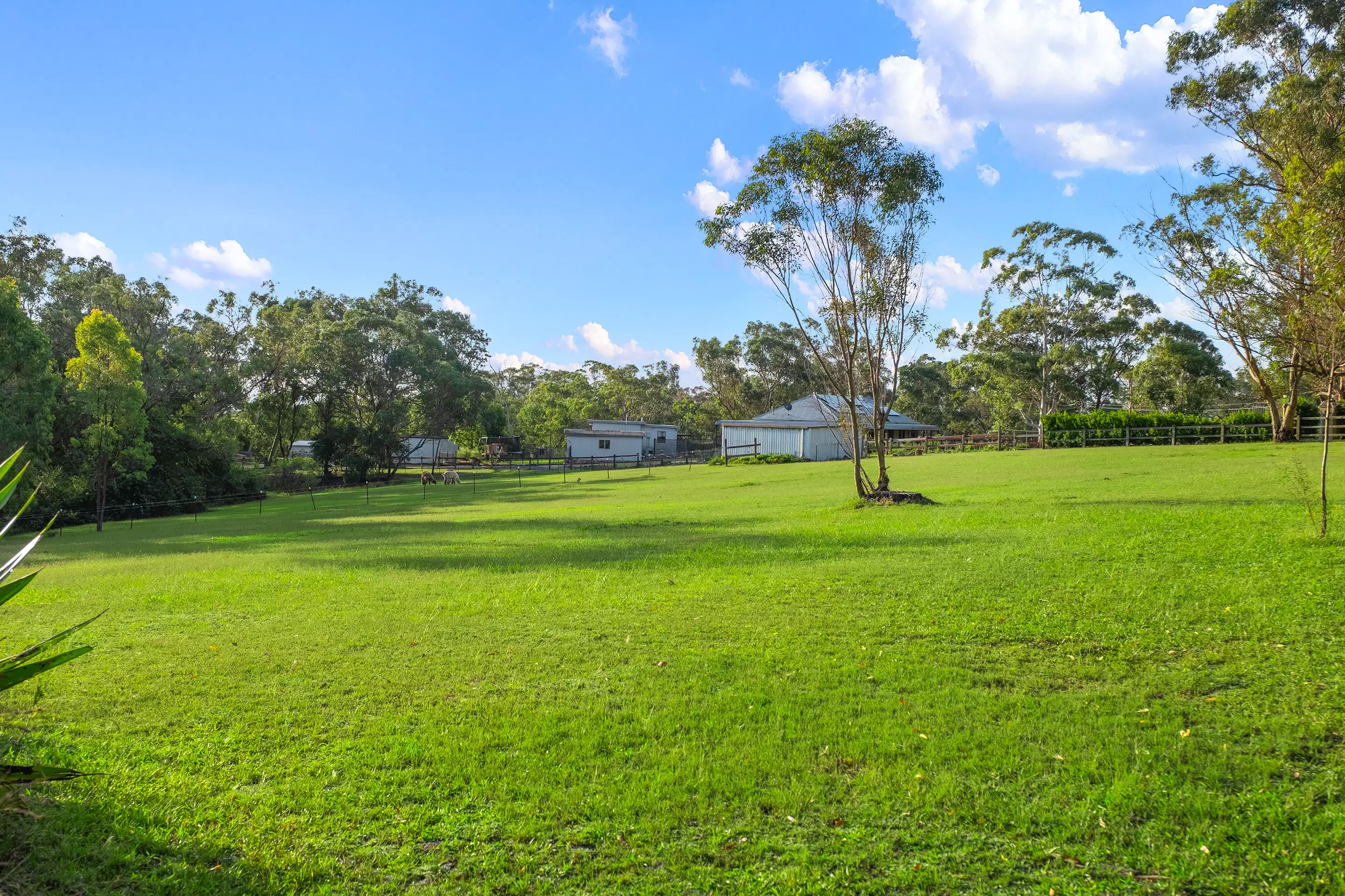 888 Wisemans Ferry Road, South Maroota Sold by Cutcliffe Properties - image 30