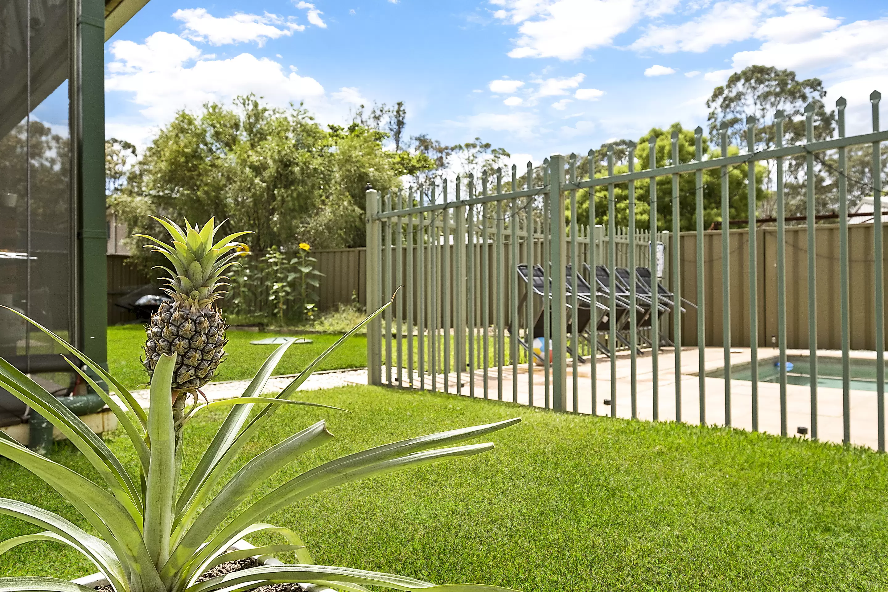 303 Castlereagh Road, Agnes Banks Sold by Cutcliffe Properties - image 23