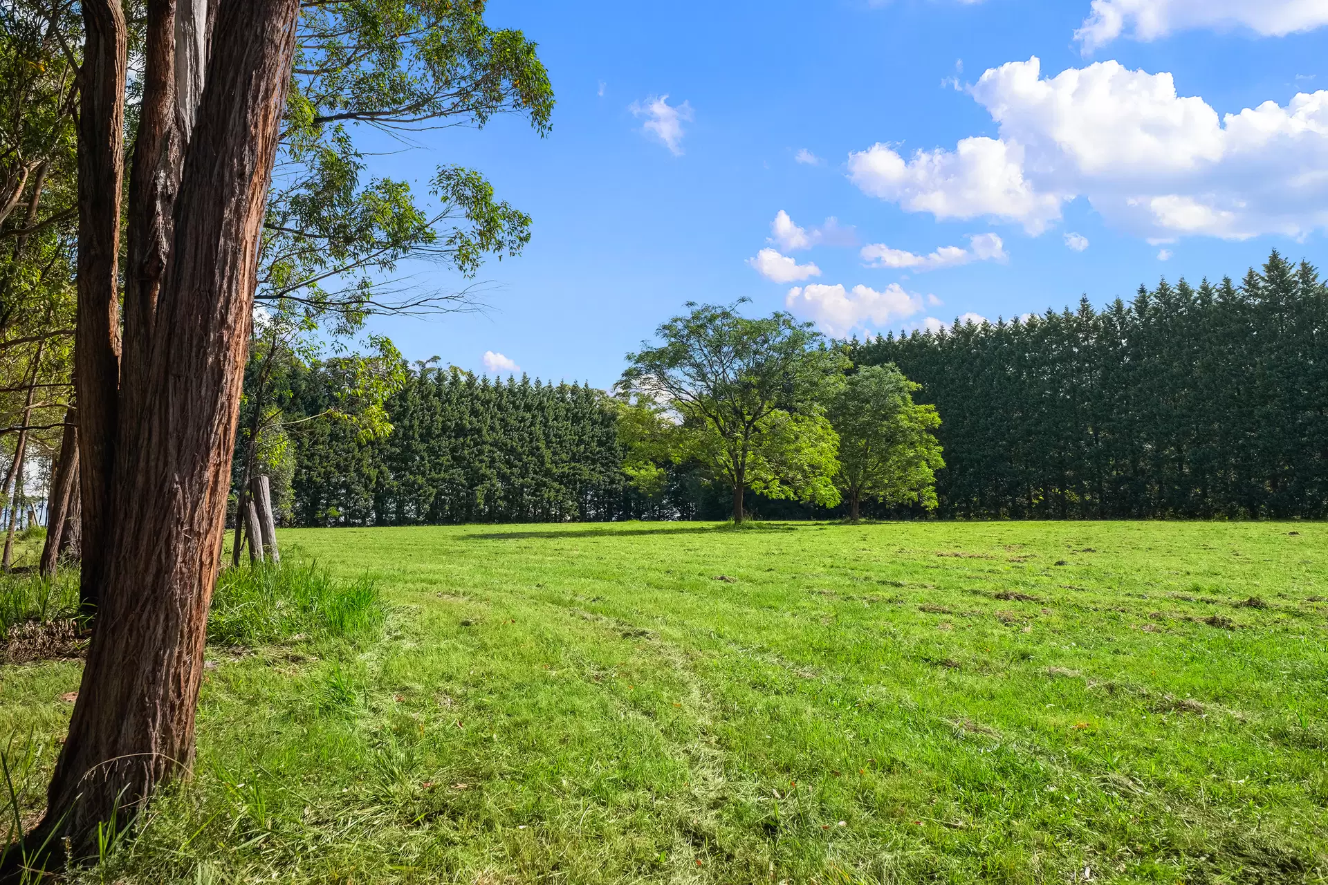 26 Bilpin Springs Road, Bilpin Sold by Cutcliffe Properties - image 1