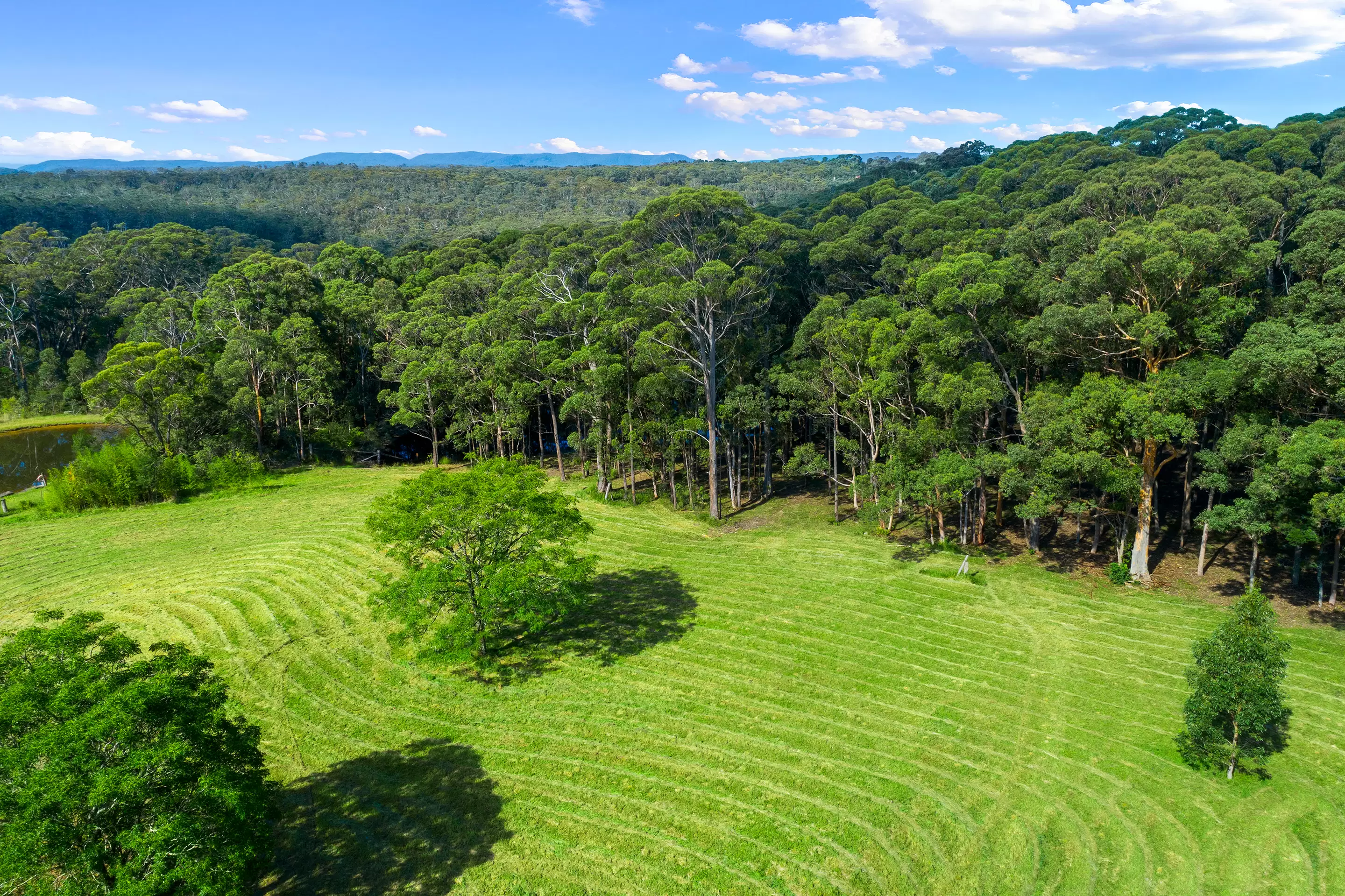26 Bilpin Springs Road, Bilpin Sold by Cutcliffe Properties - image 5