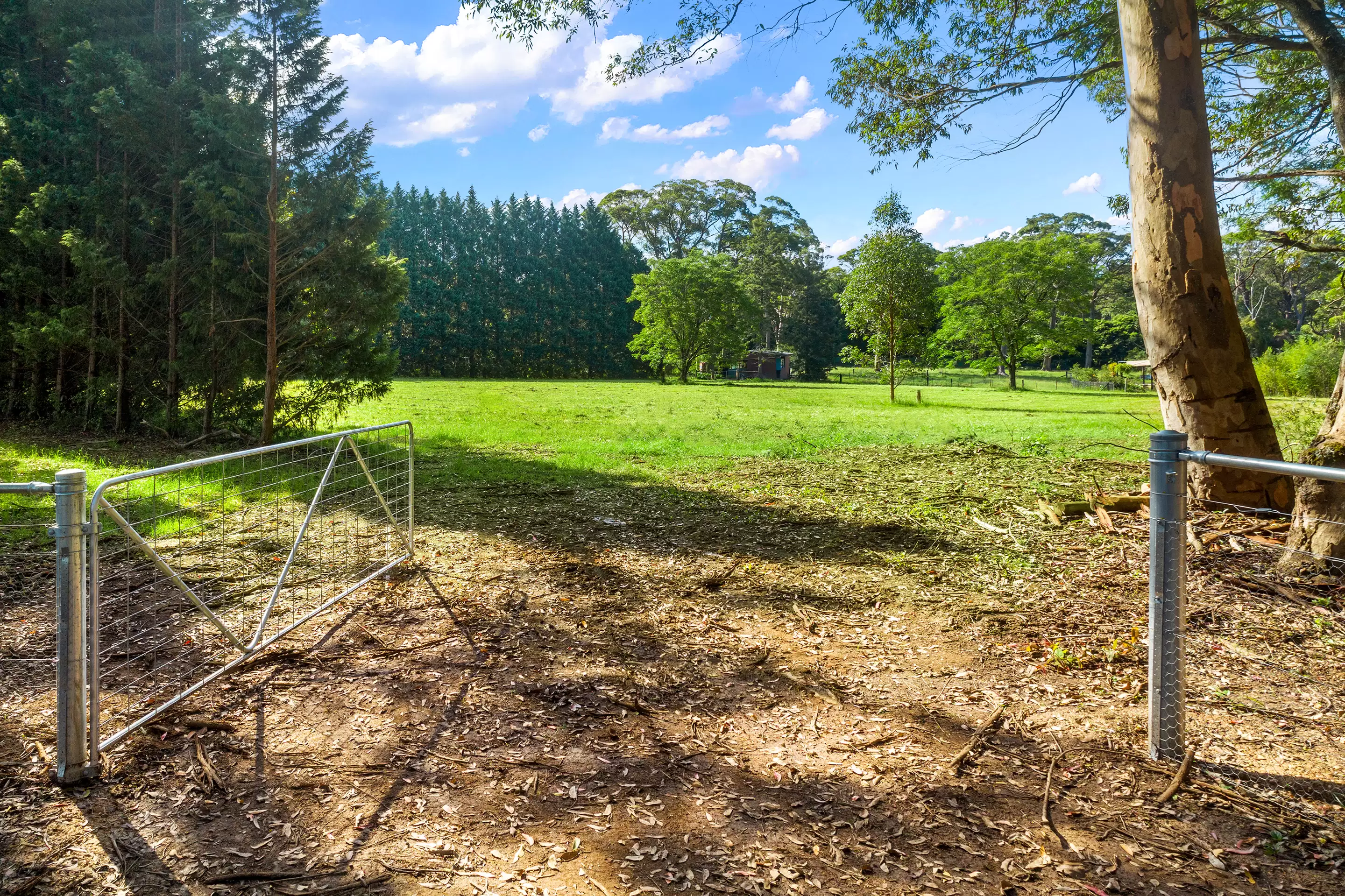 26 Bilpin Springs Road, Bilpin Sold by Cutcliffe Properties - image 6